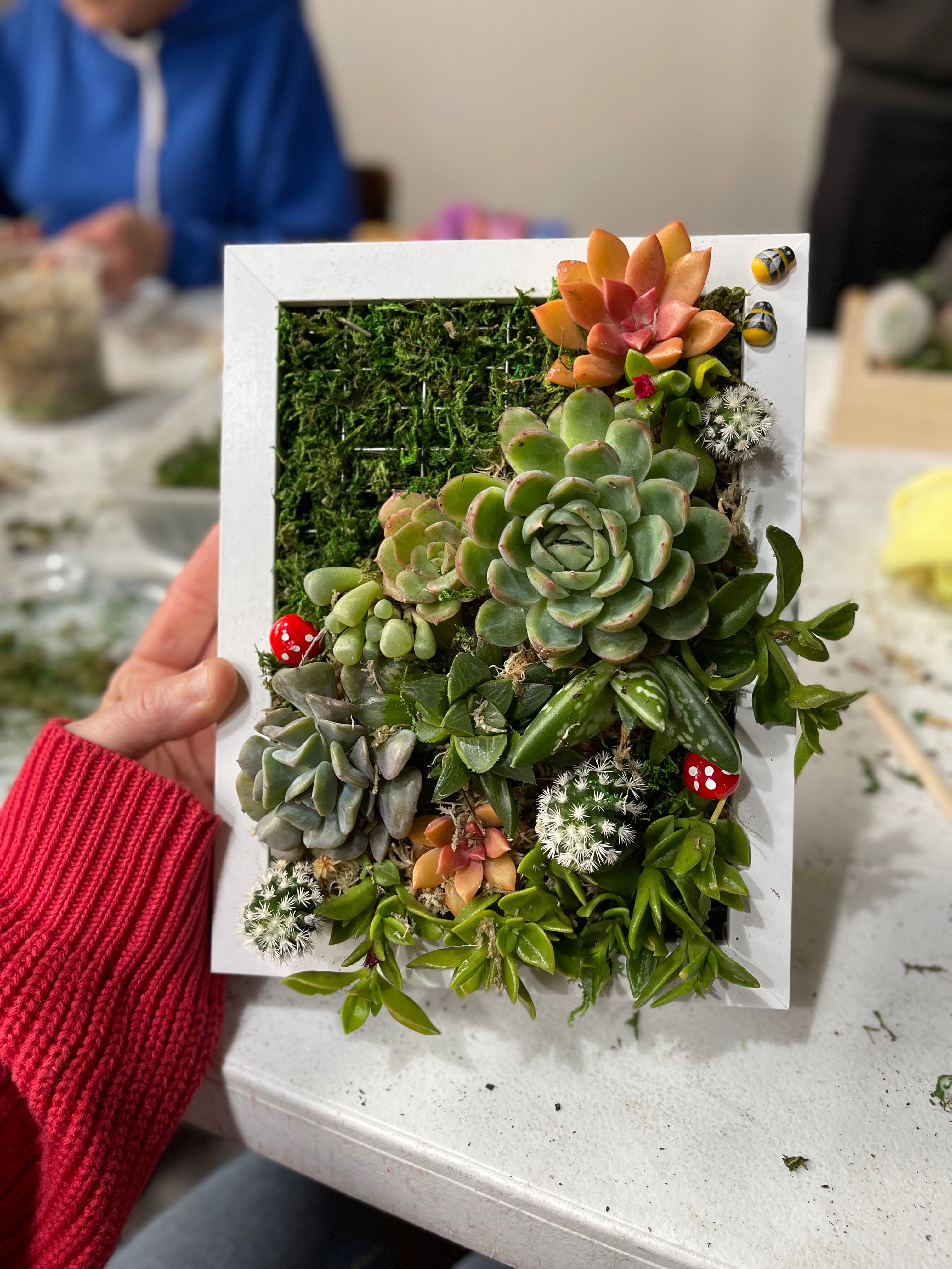 DIY Vertical Succulent Garden Kit