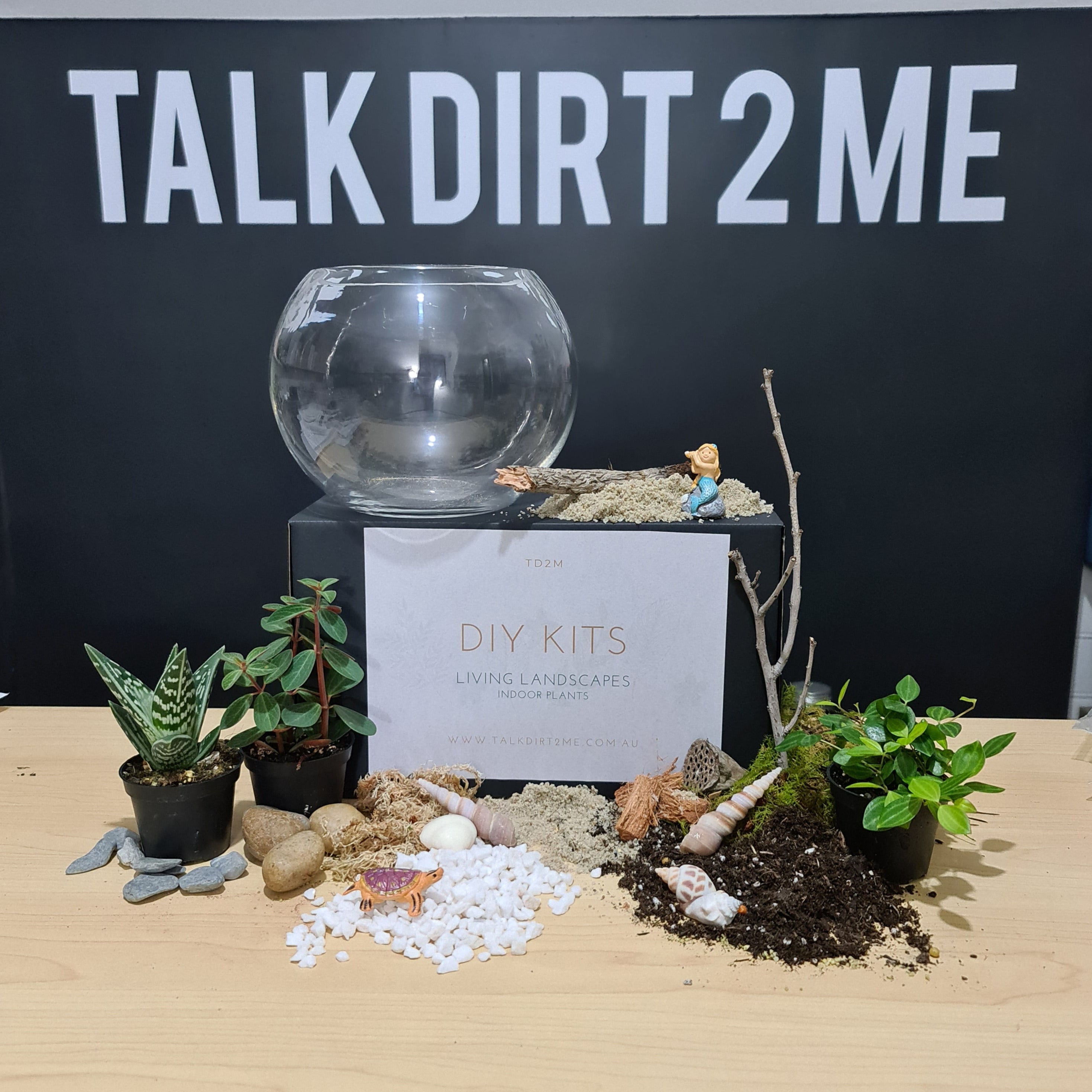 DIY "Beachy Vibes and Such" Terrarium Kit