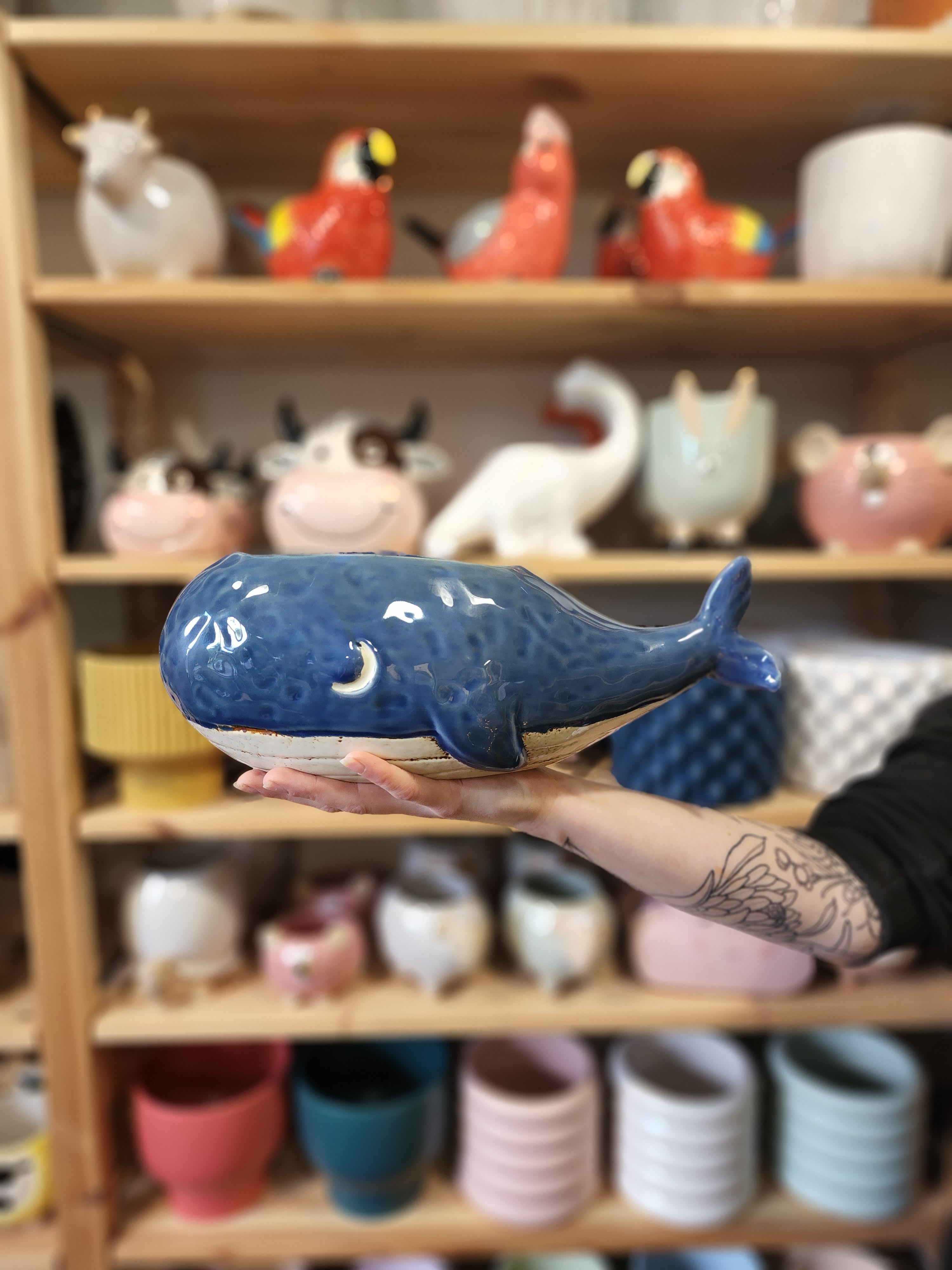 Willy Whale Planter