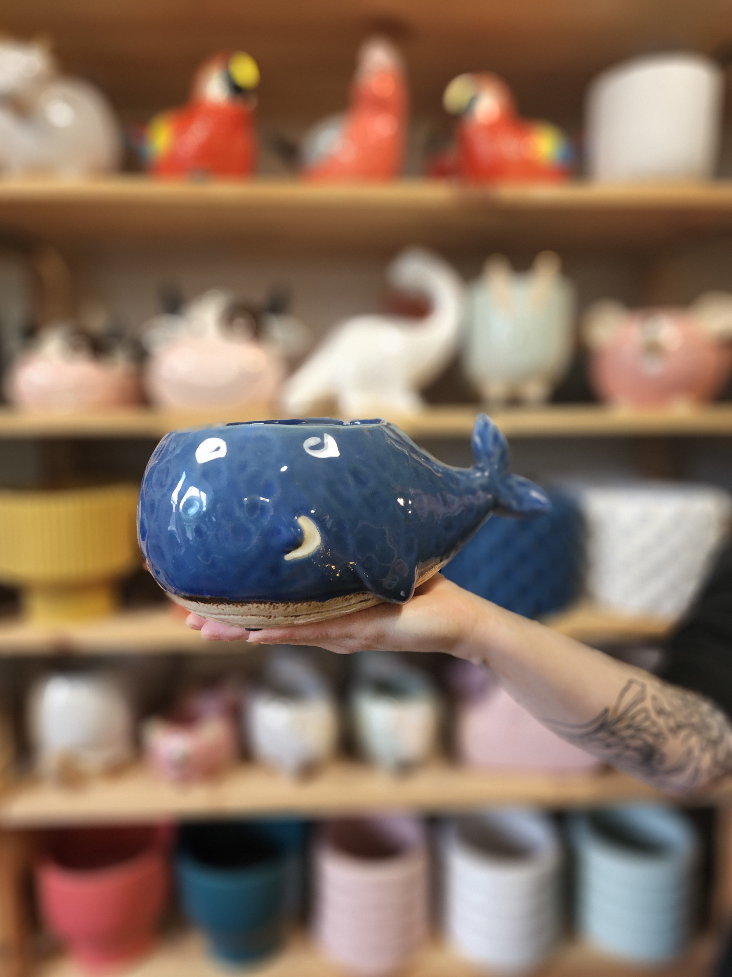 Willy Whale Planter