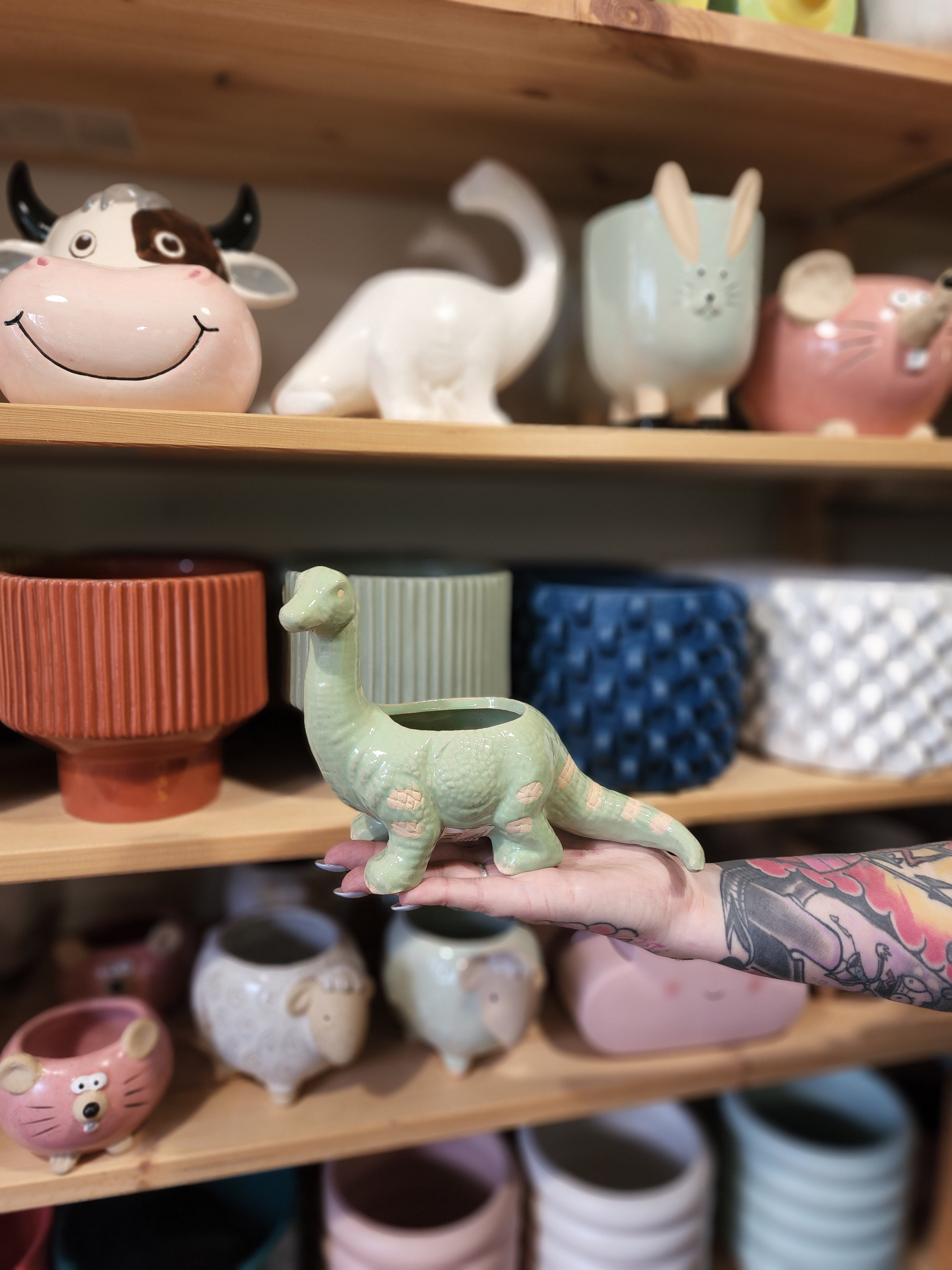 Dino-Cool Planter