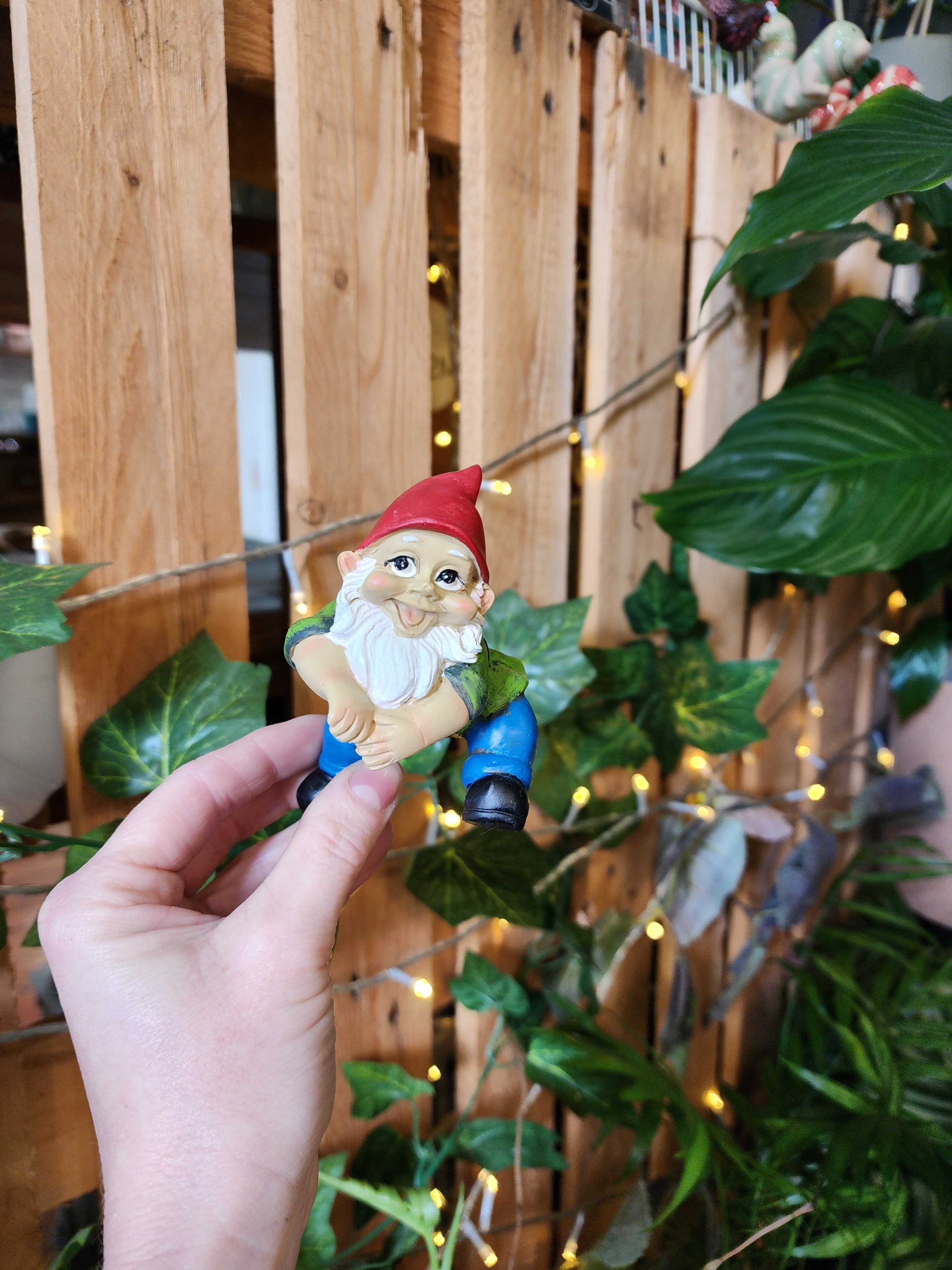 Gnome Pot Sitter