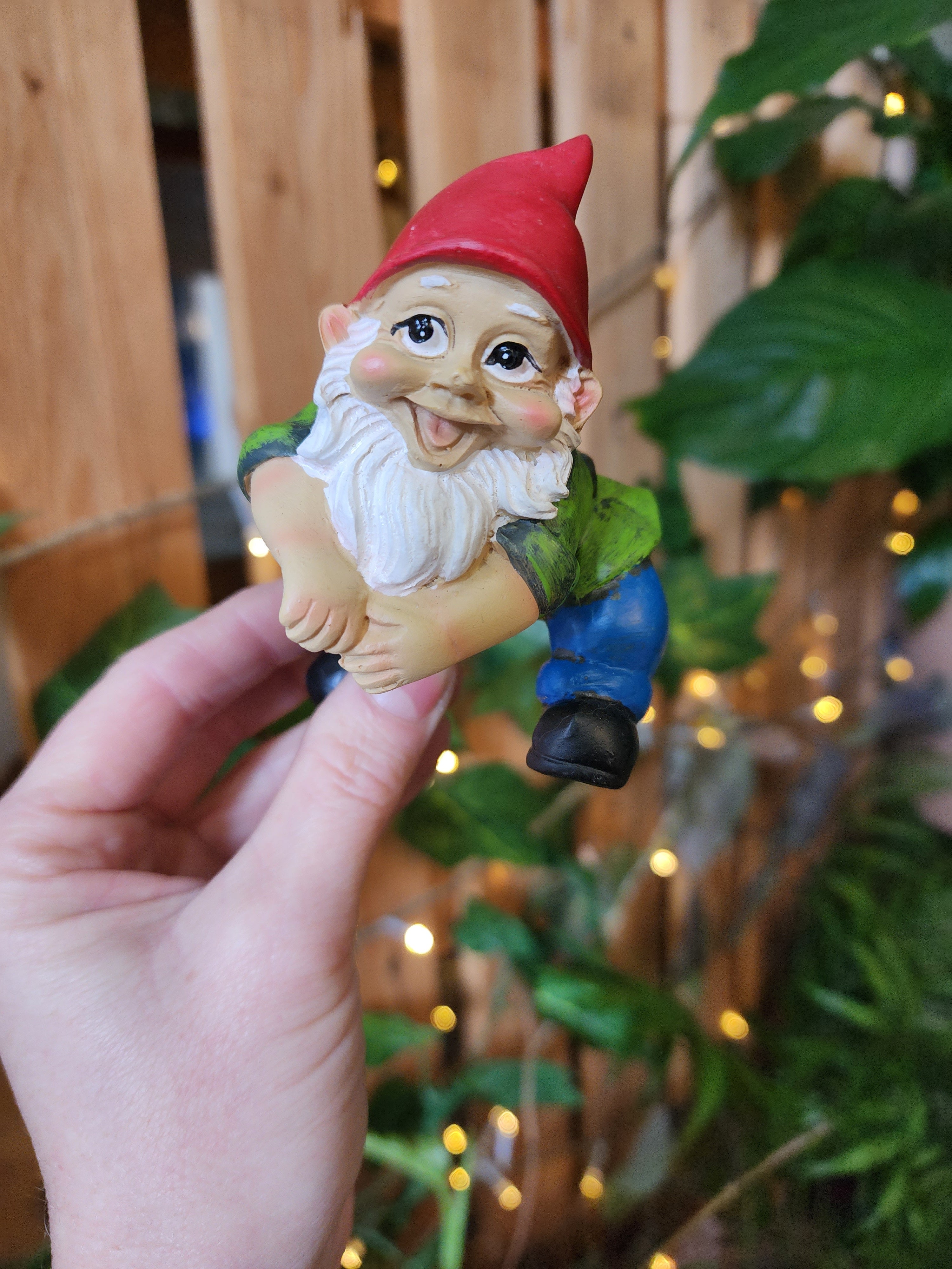 Gnome Pot Sitter