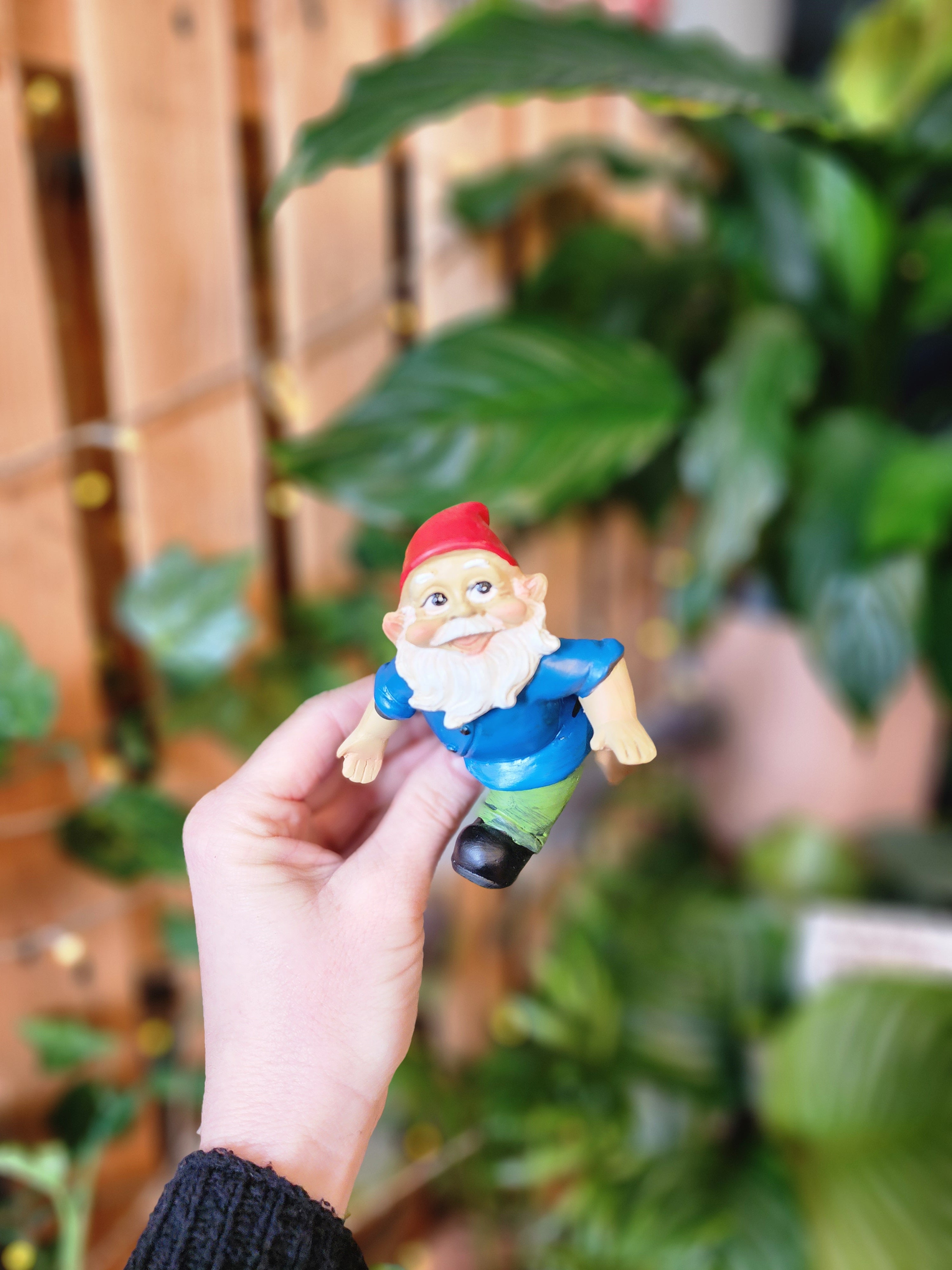 Gnome Pot Sitter