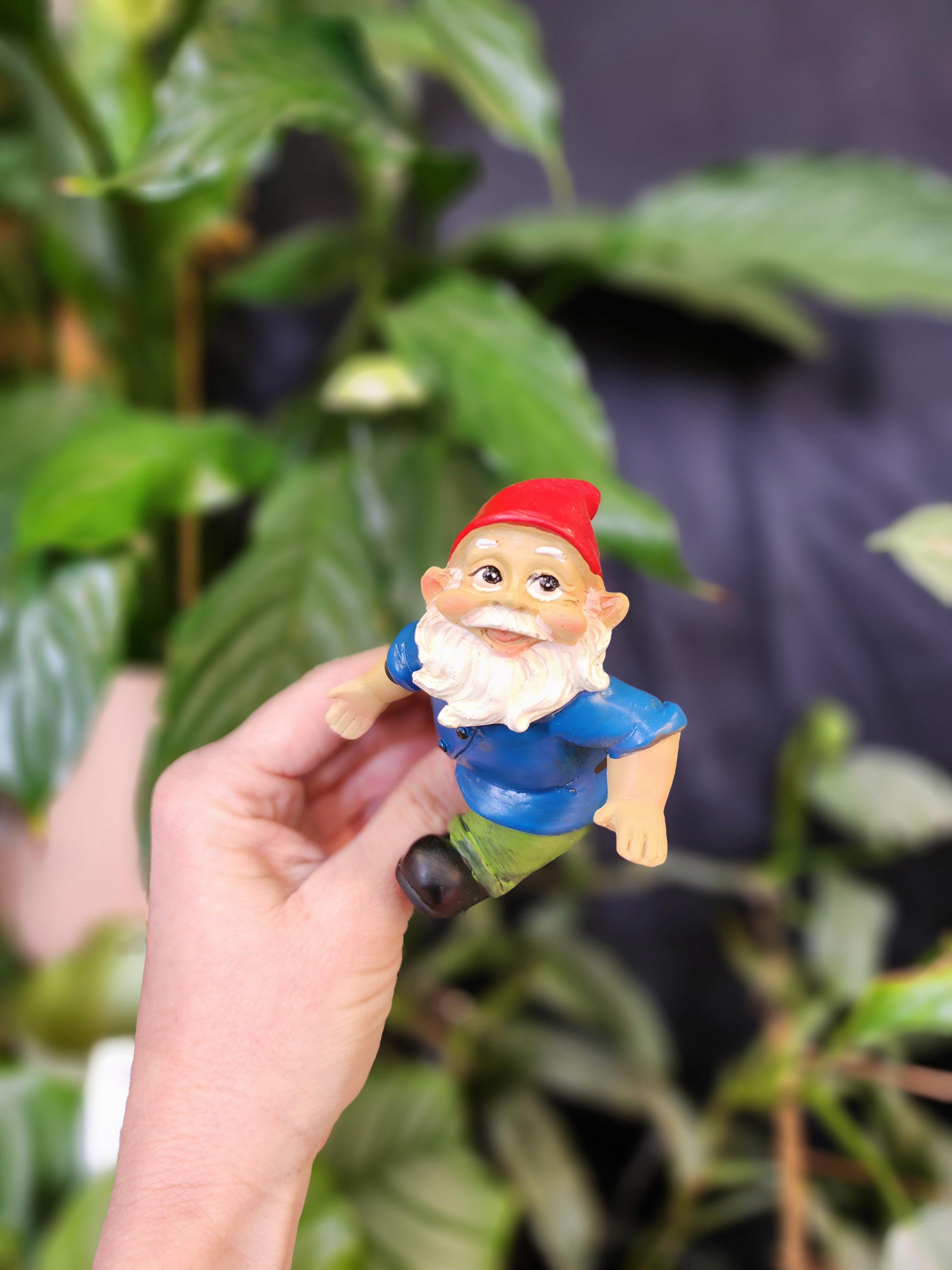 Gnome Pot Sitter