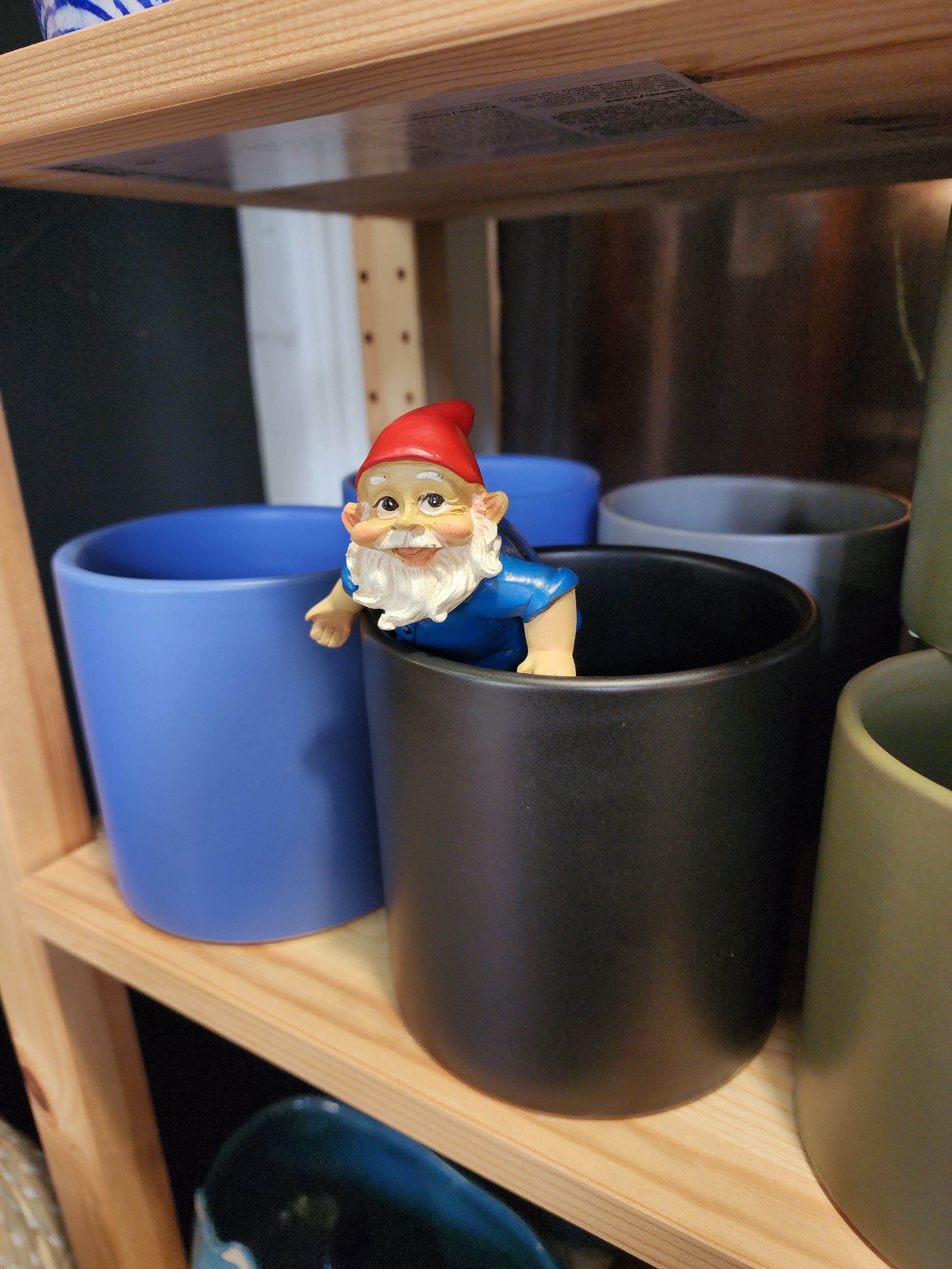Gnome Pot Sitter