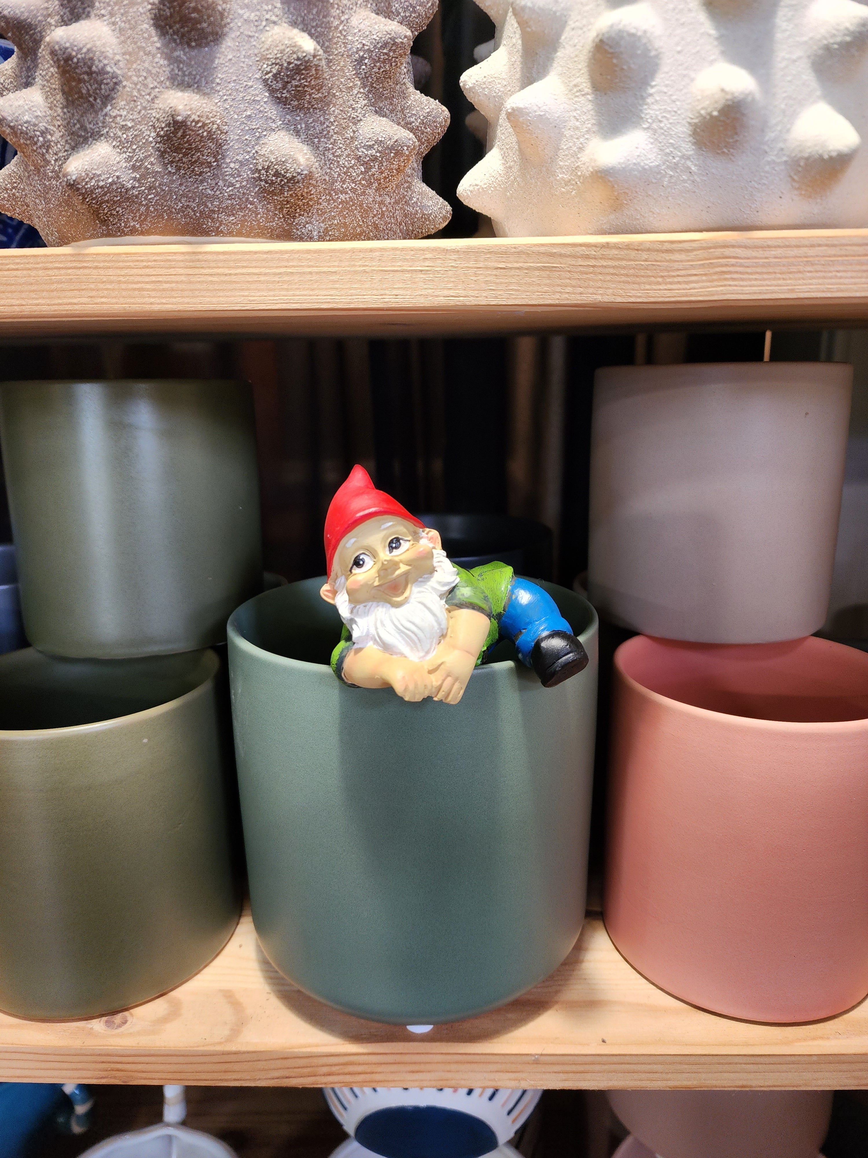 Gnome Pot Sitter