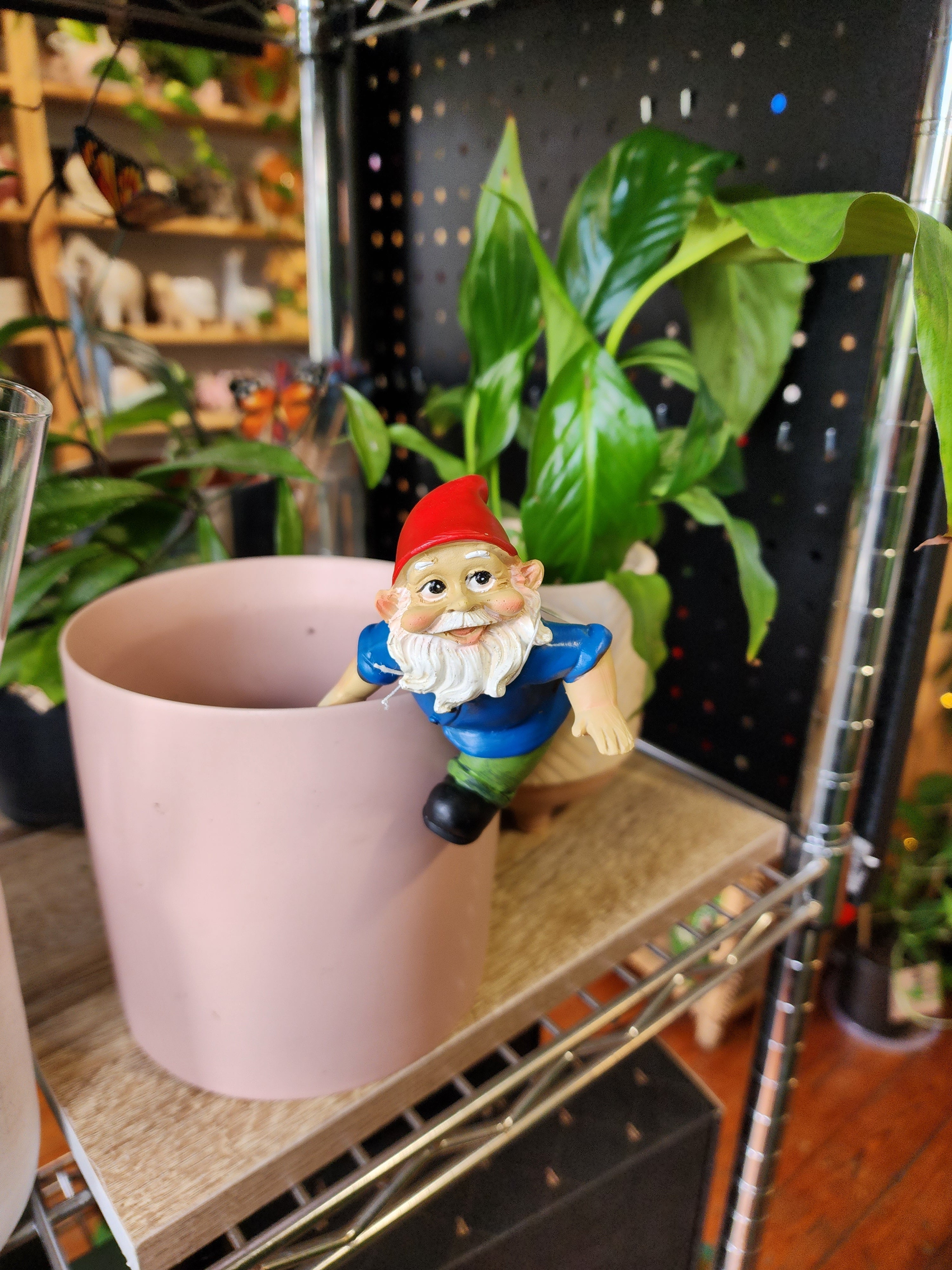 Gnome Pot Sitter