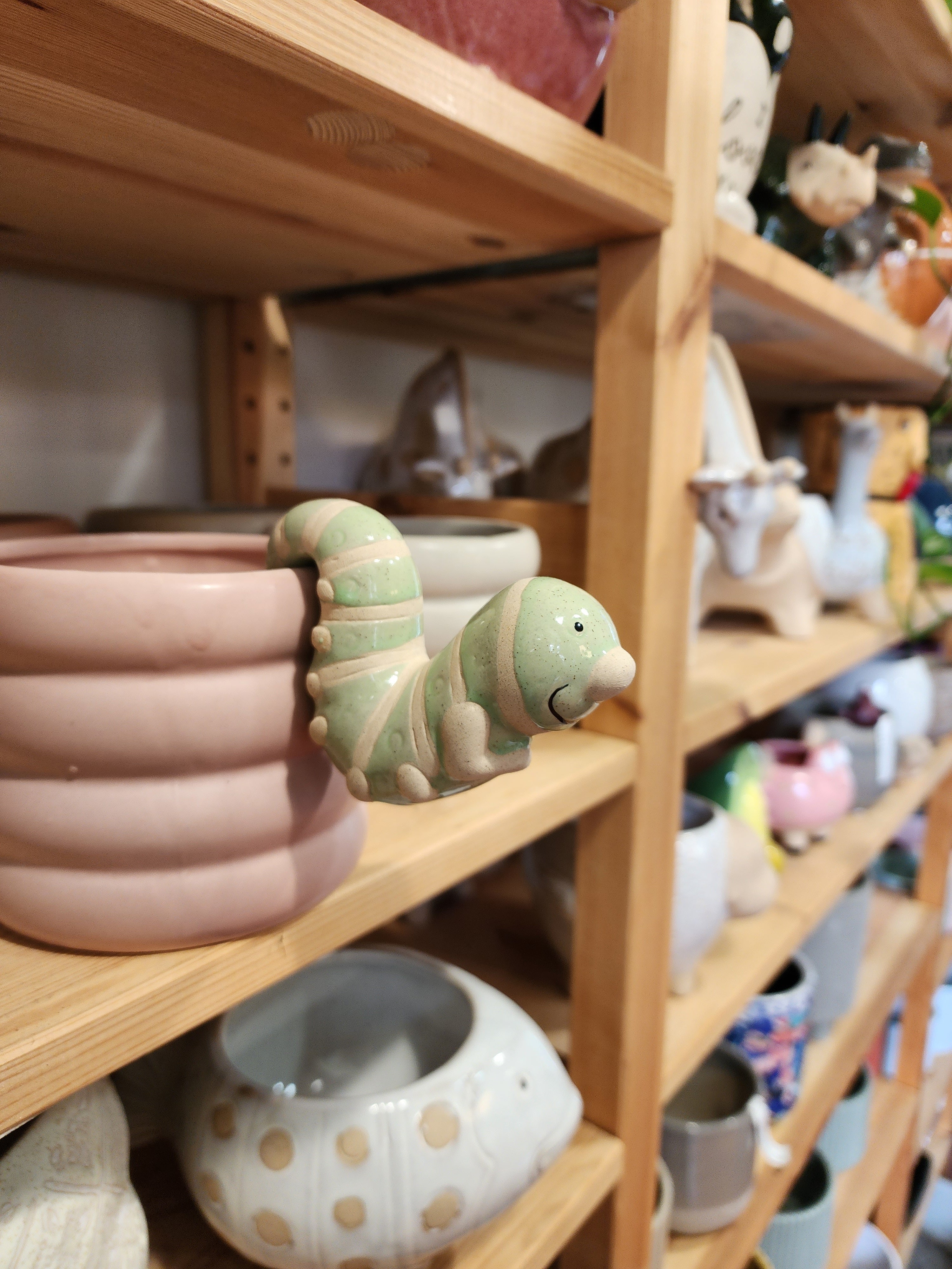 A Friendly Caterpillar Pot Sitter