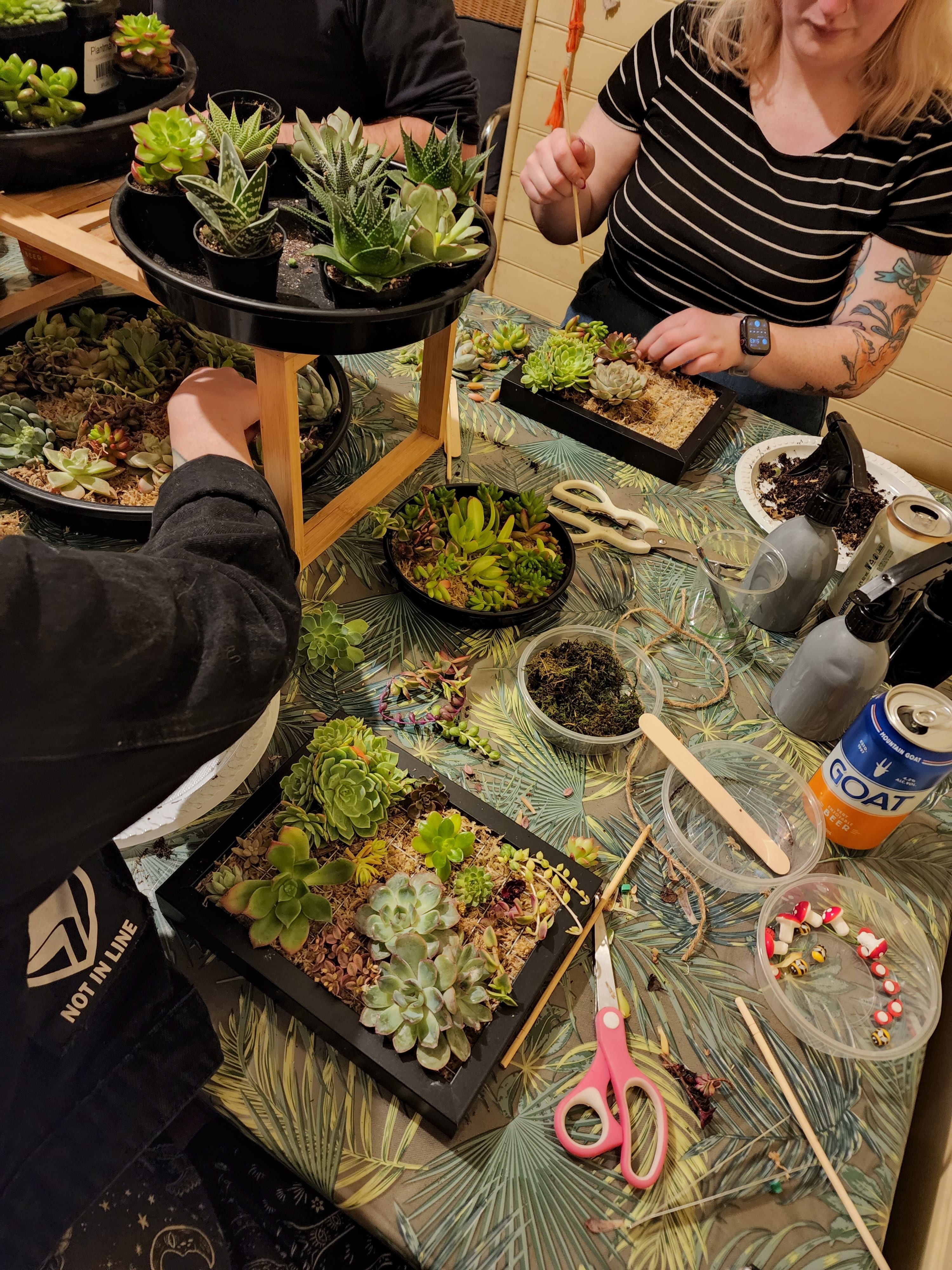 Vertical Succulent Garden Workshop for Beginners