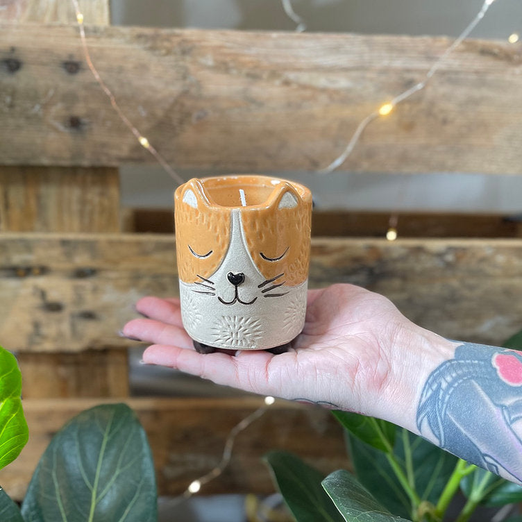 Animal Soy Candle Range
