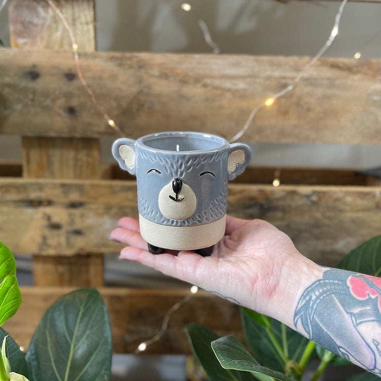 Animal Soy Candle Range