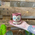 Animal Soy Candle Range