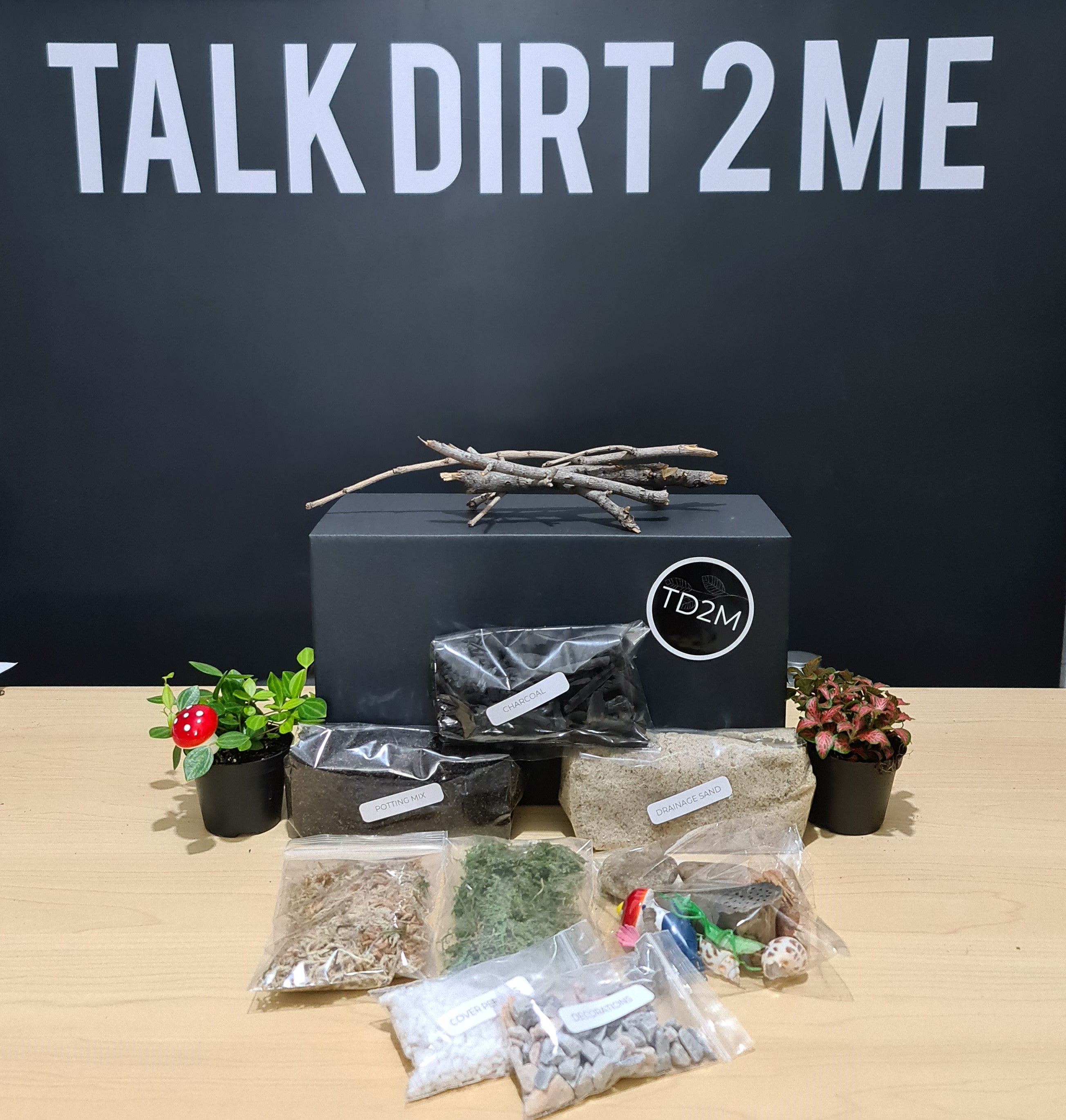 DIY Terrarium Kit - The Basics & 2 Indoor Plants (No Glass Bowl)