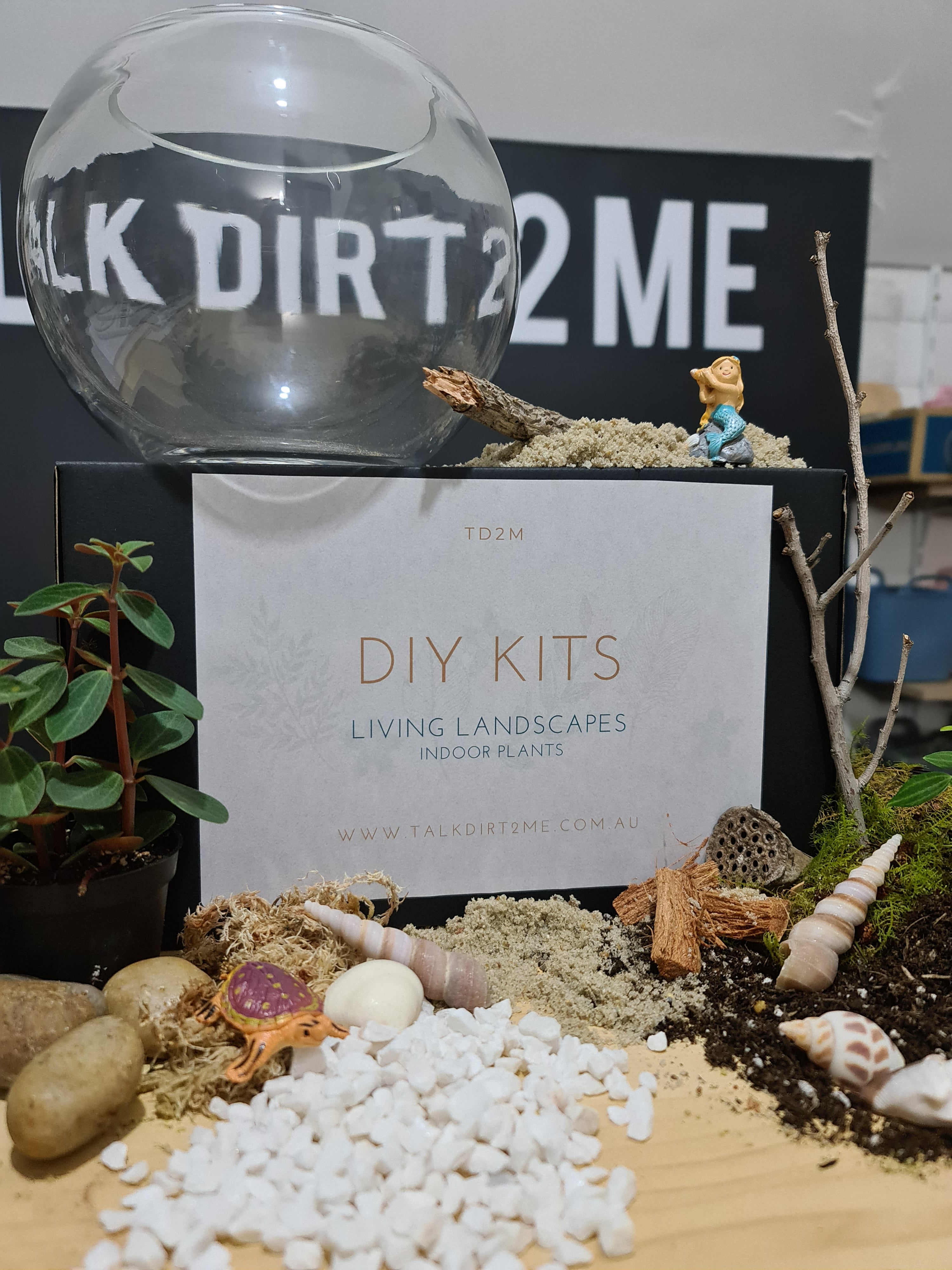 DIY "Beachy Vibes and Such" Terrarium Kit