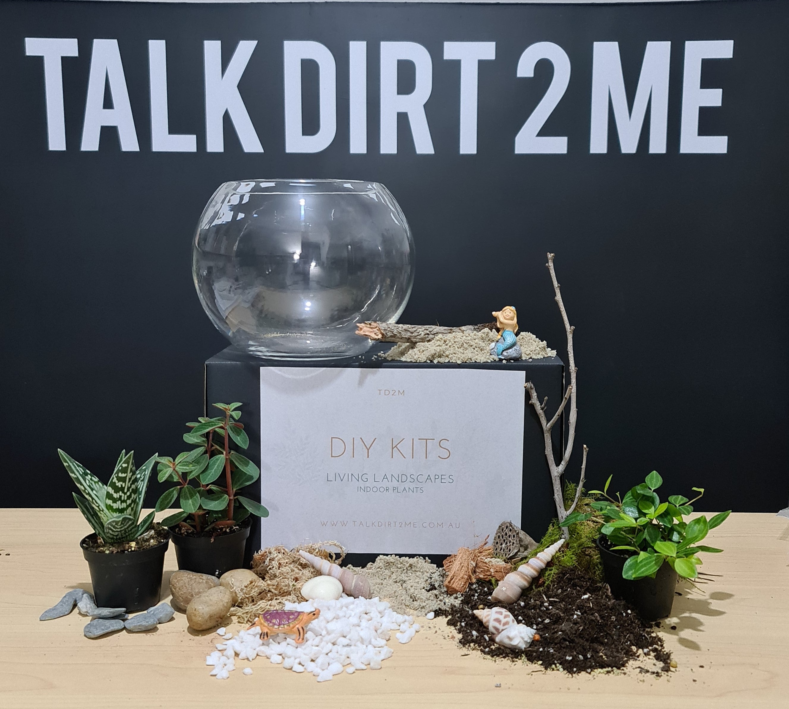 DIY "Beachy Vibes and Such" Terrarium Kit
