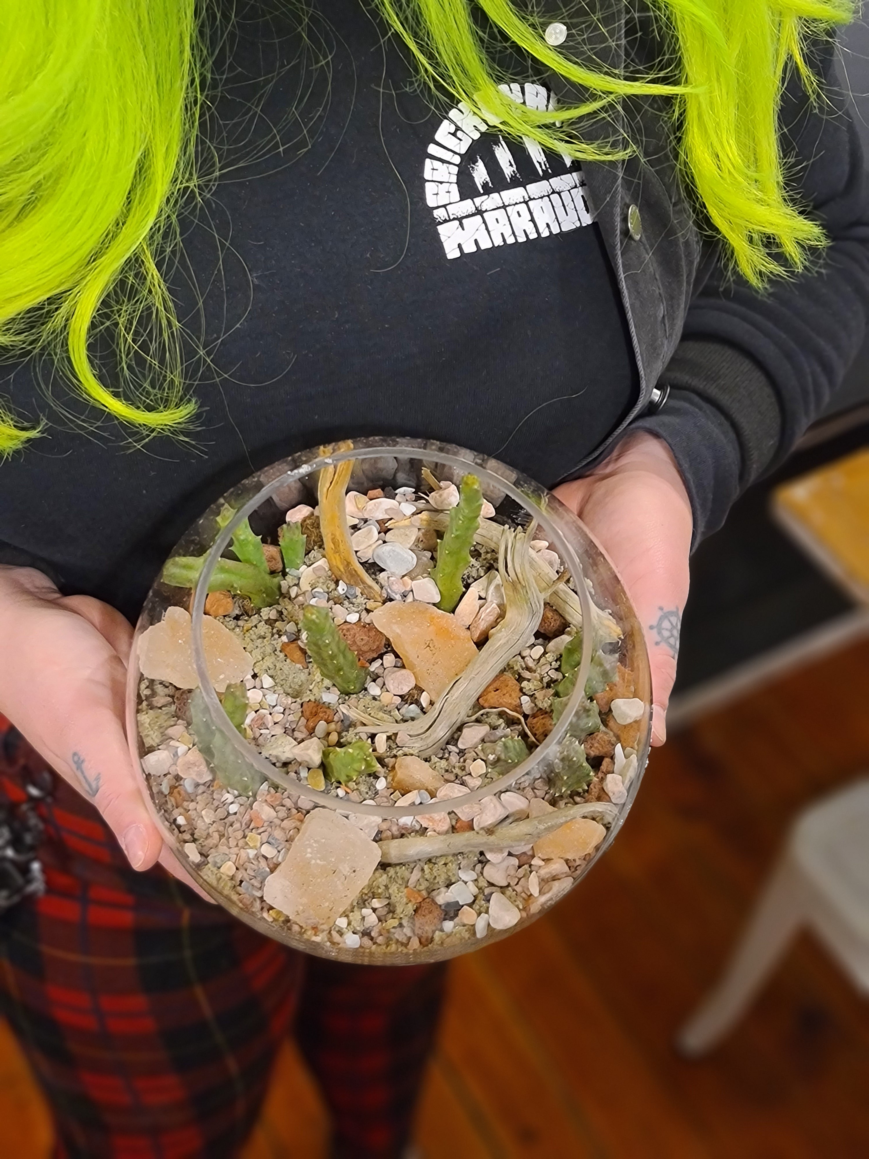 DIY "Beachy Vibes and Such" Terrarium Kit