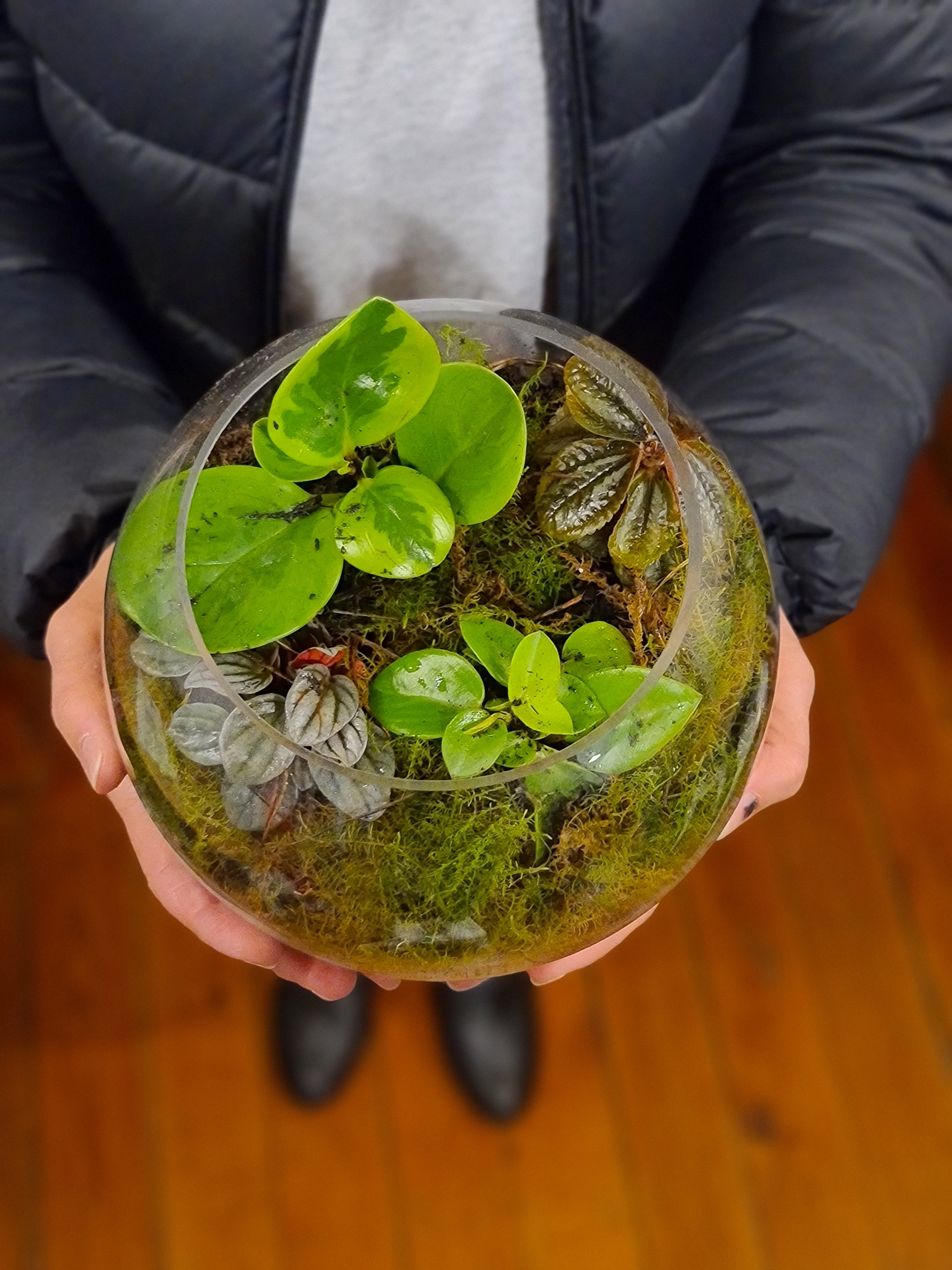 DIY Enchanted Ferngully "Fairy Garden" Landscape