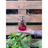 ‘Fancy Mister’ Misting Bottle