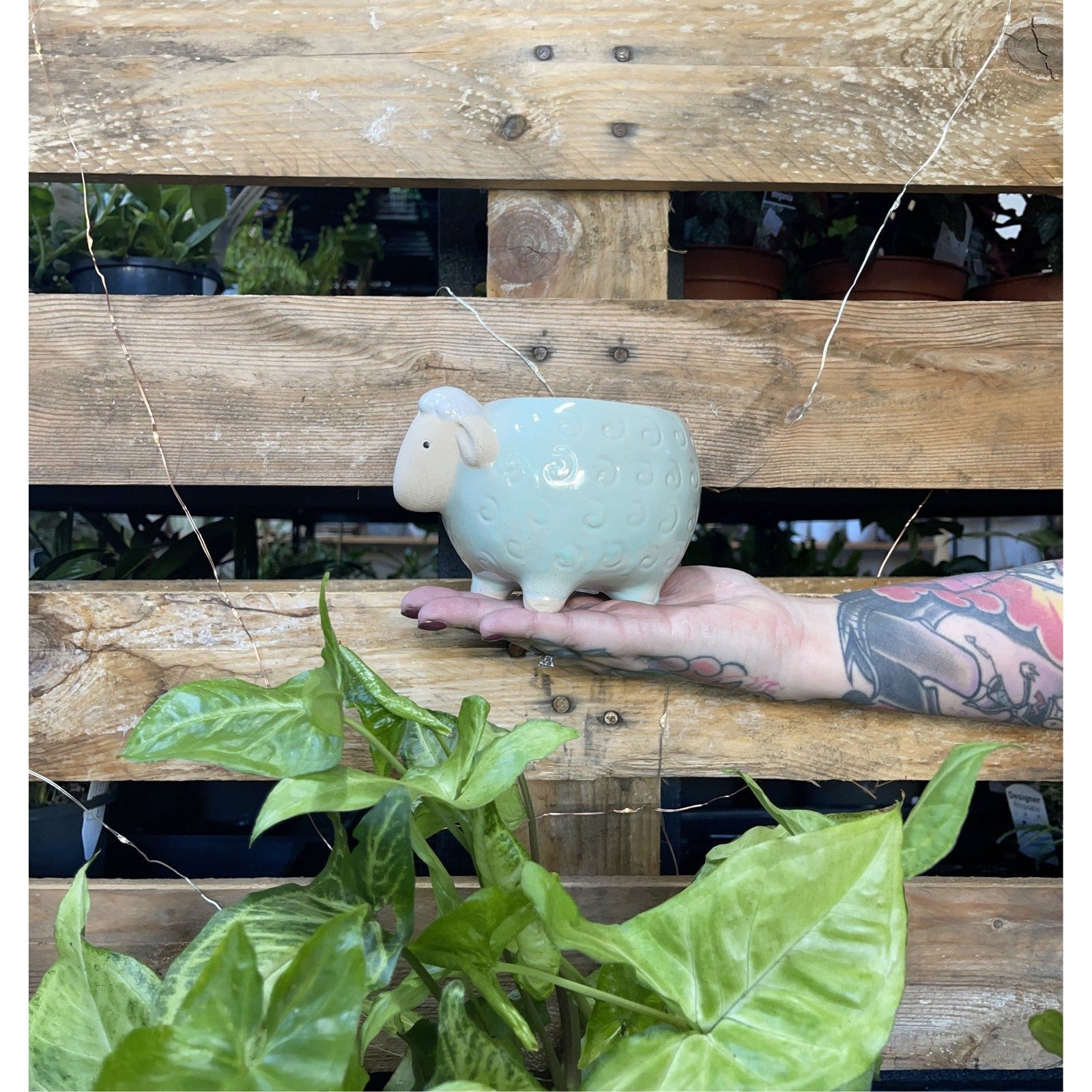 Fluffy Sheep Planter