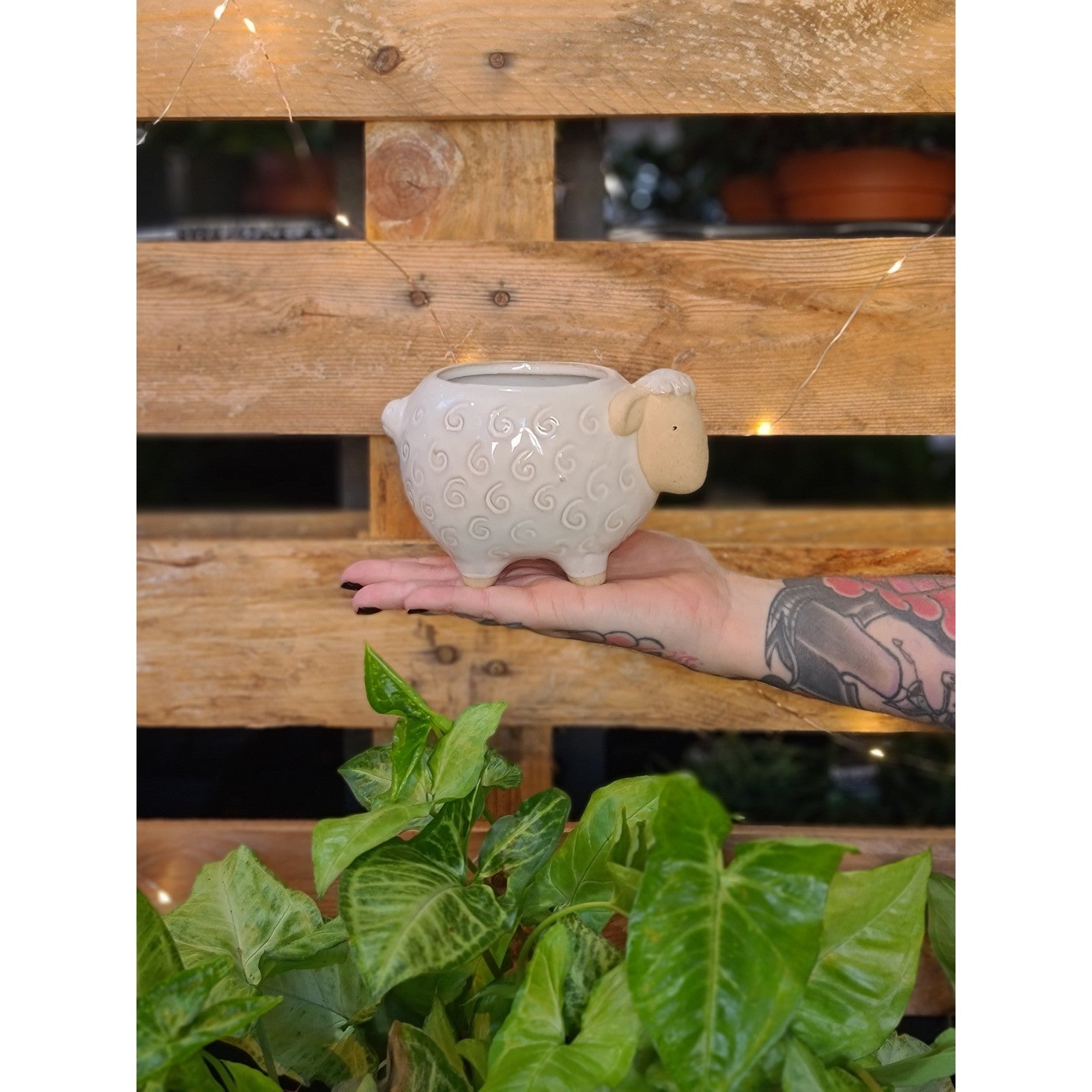 Fluffy Sheep Planter