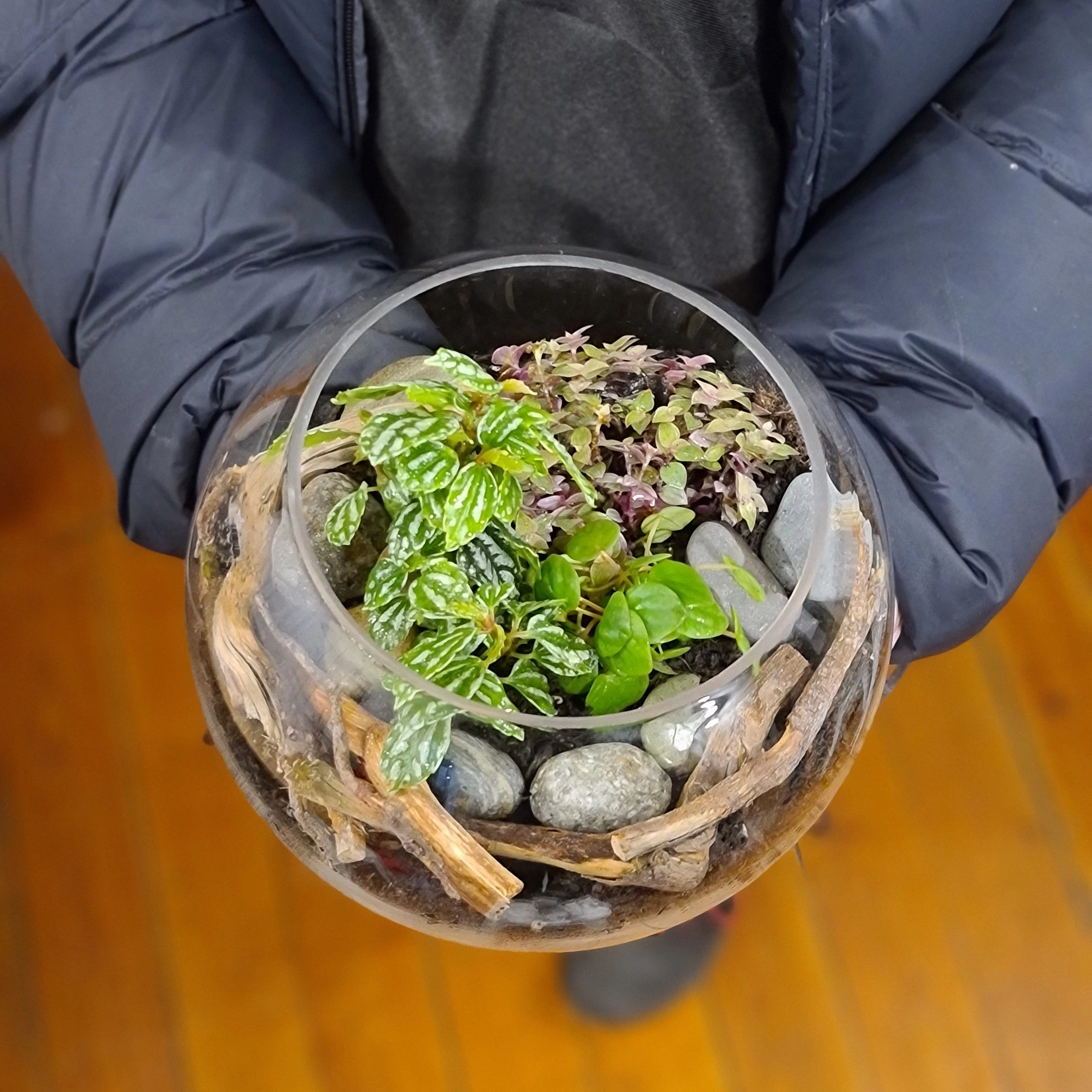 Terrarium Workshop for Beginners