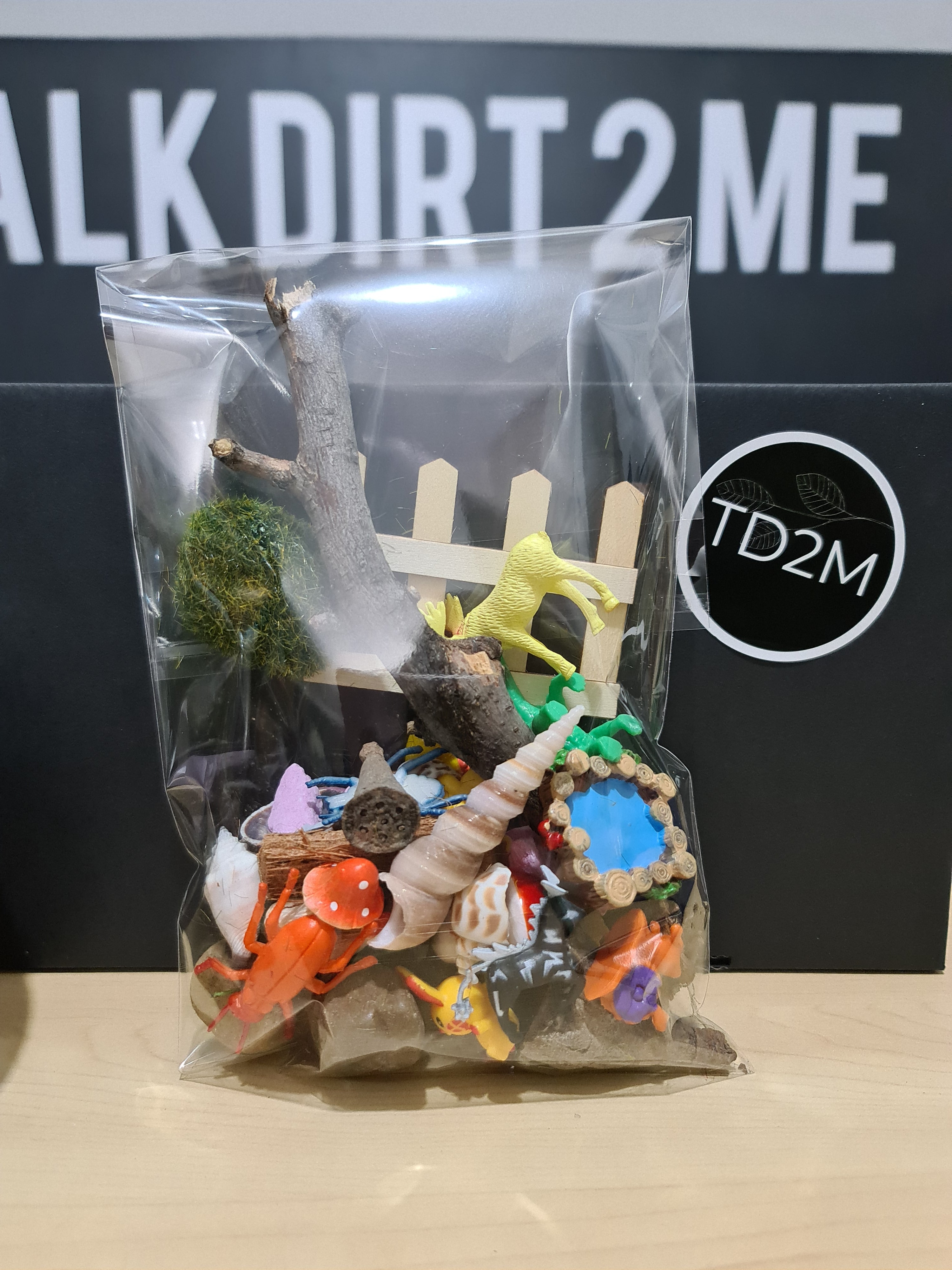 DIY Terrarium Decoration Kit