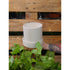 Mynx Planter