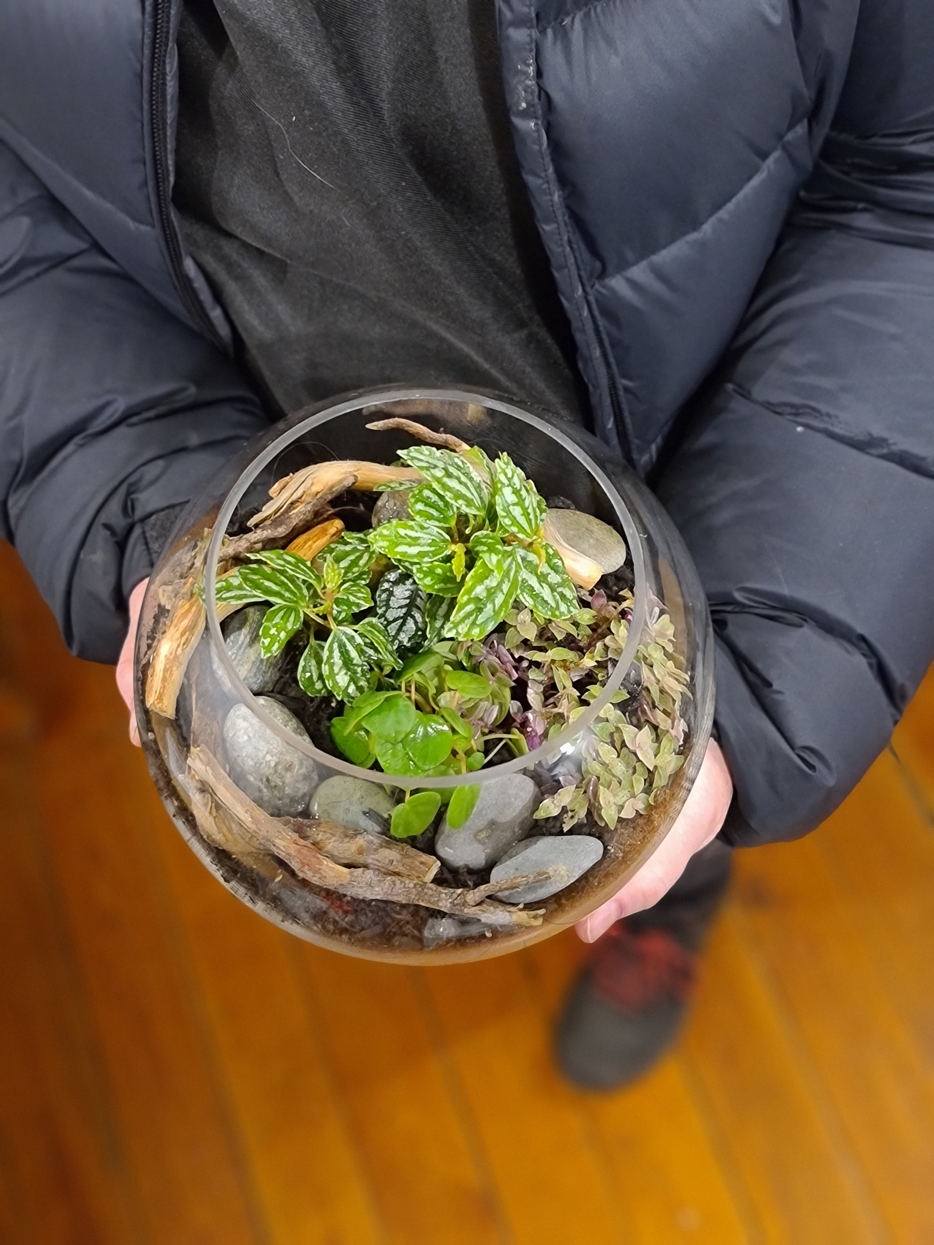 DIY Terrarium Kit "Oh Naturale"