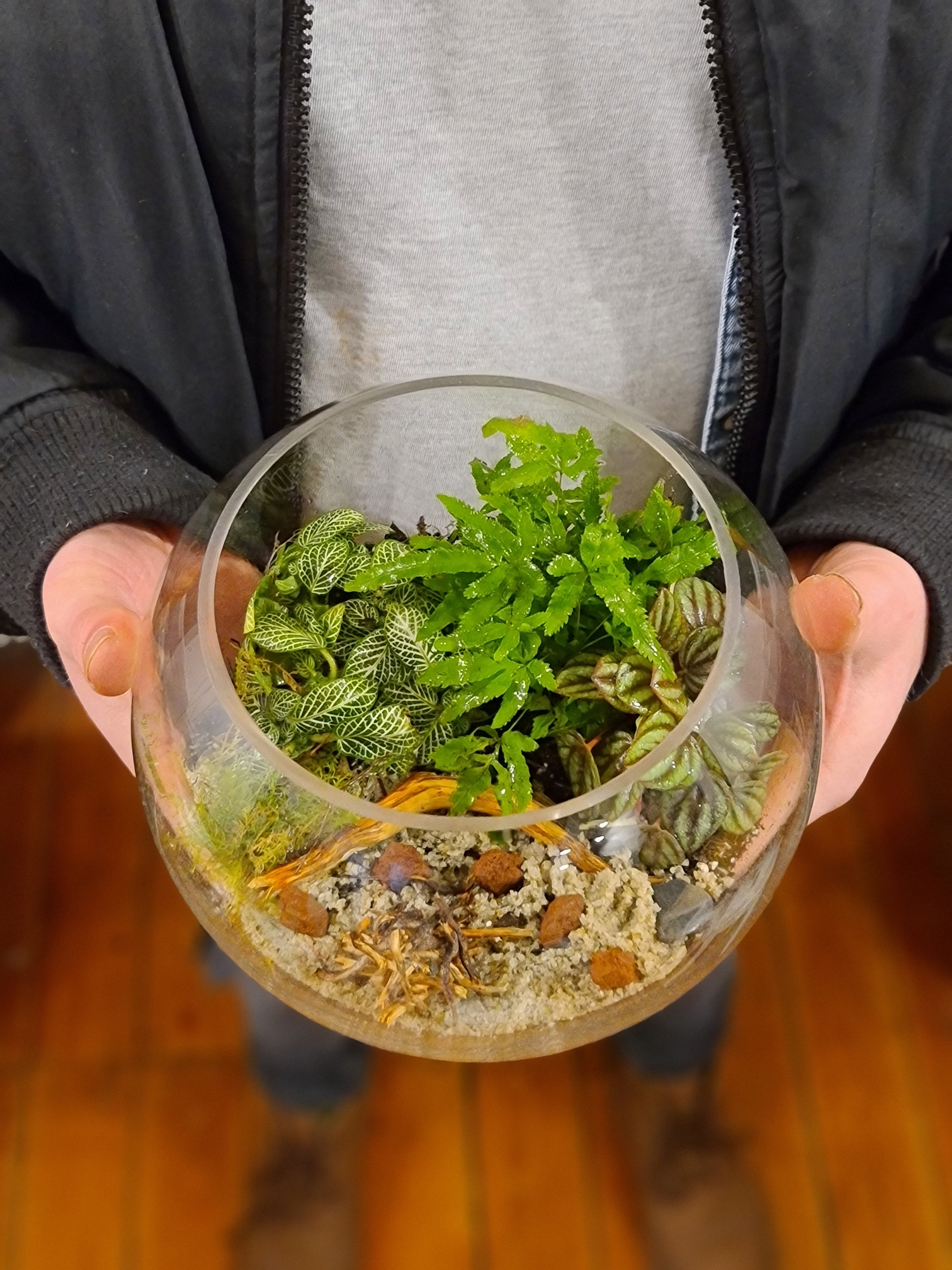 DIY Terrarium Kit "Oh Naturale"