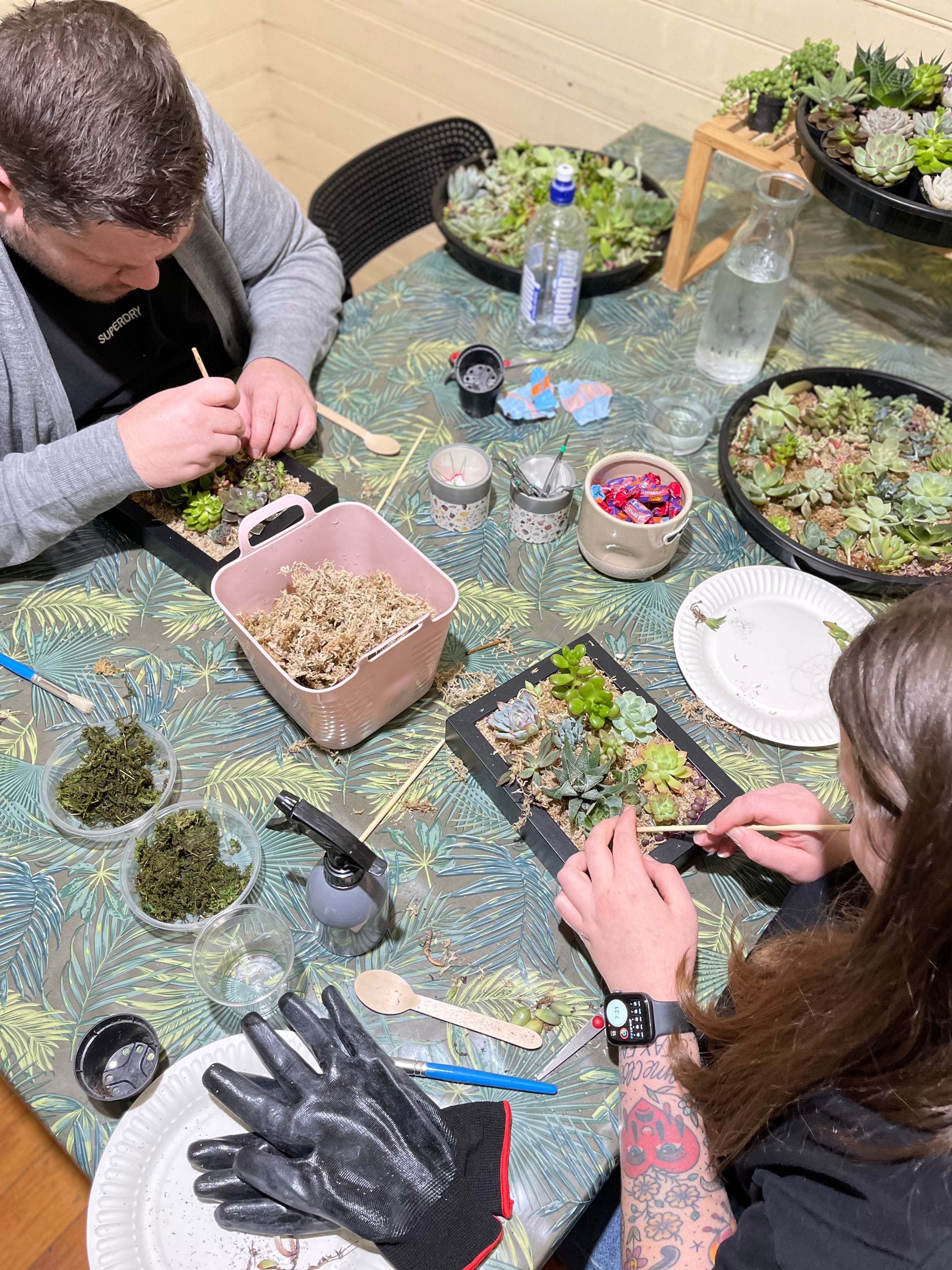 Vertical Succulent Garden Workshop for Beginners
