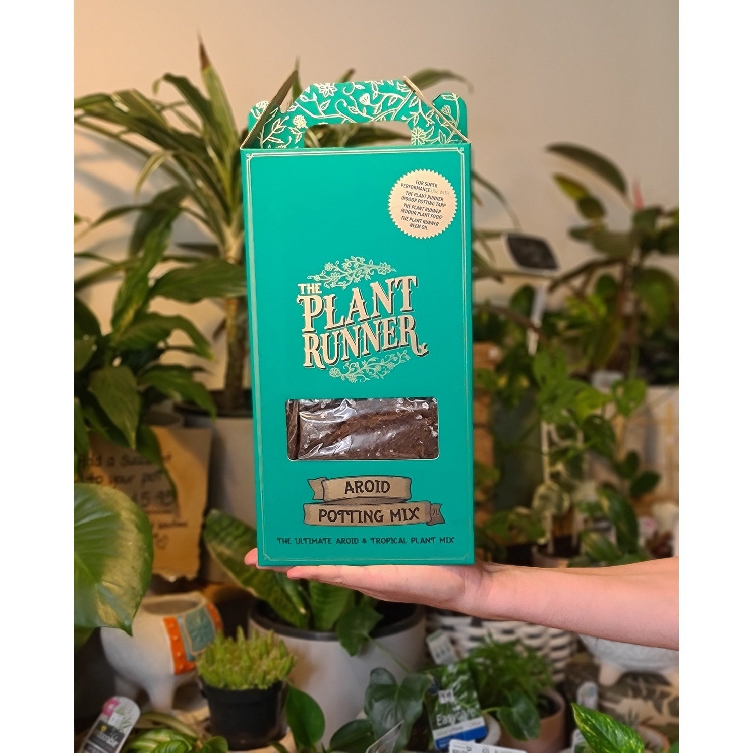 plant runner potting mix The Plant Runner Aroid Mix