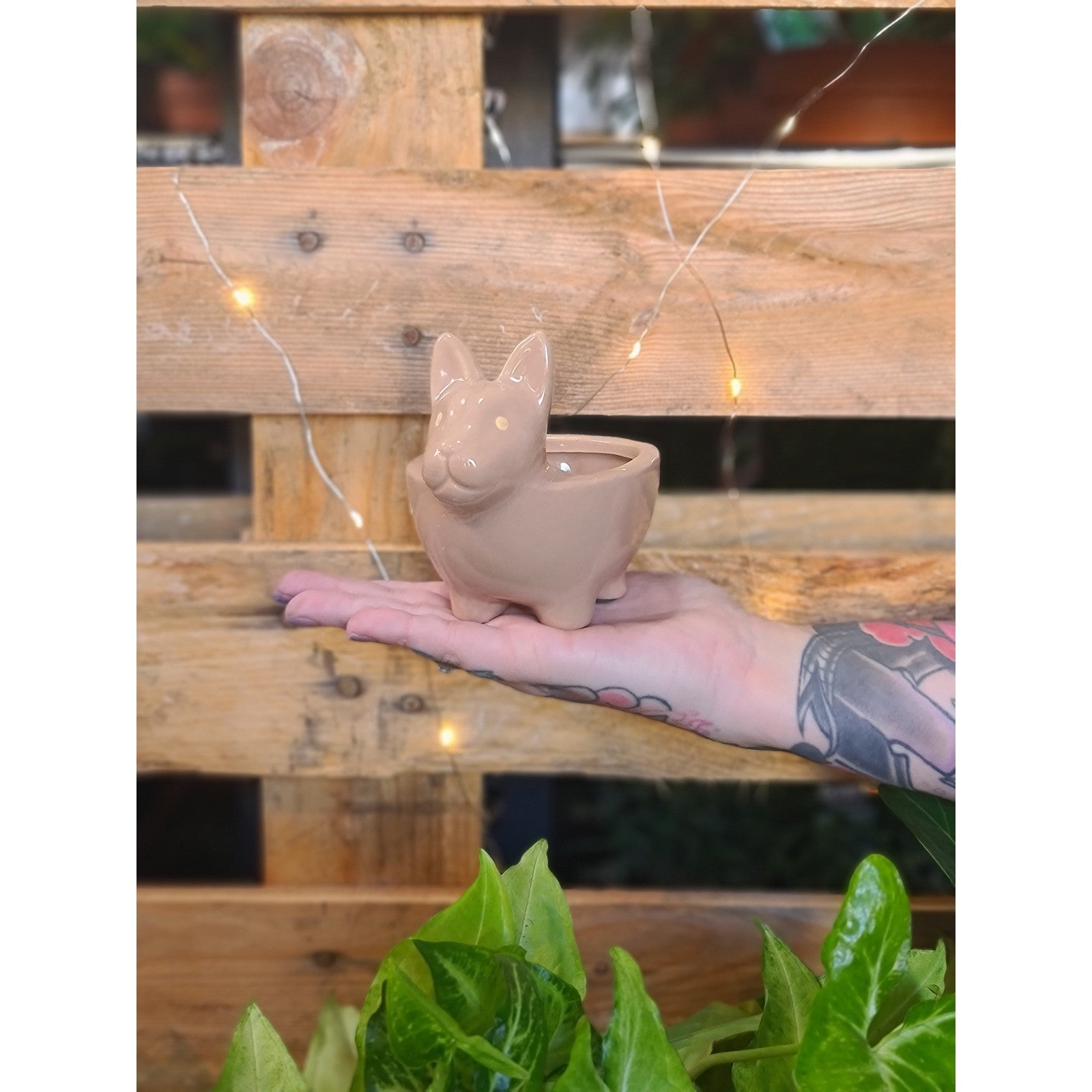 Pup Planters