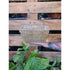 Seagrass Planter