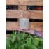 Sheepish Planter
