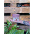 Spotty Bum Planter