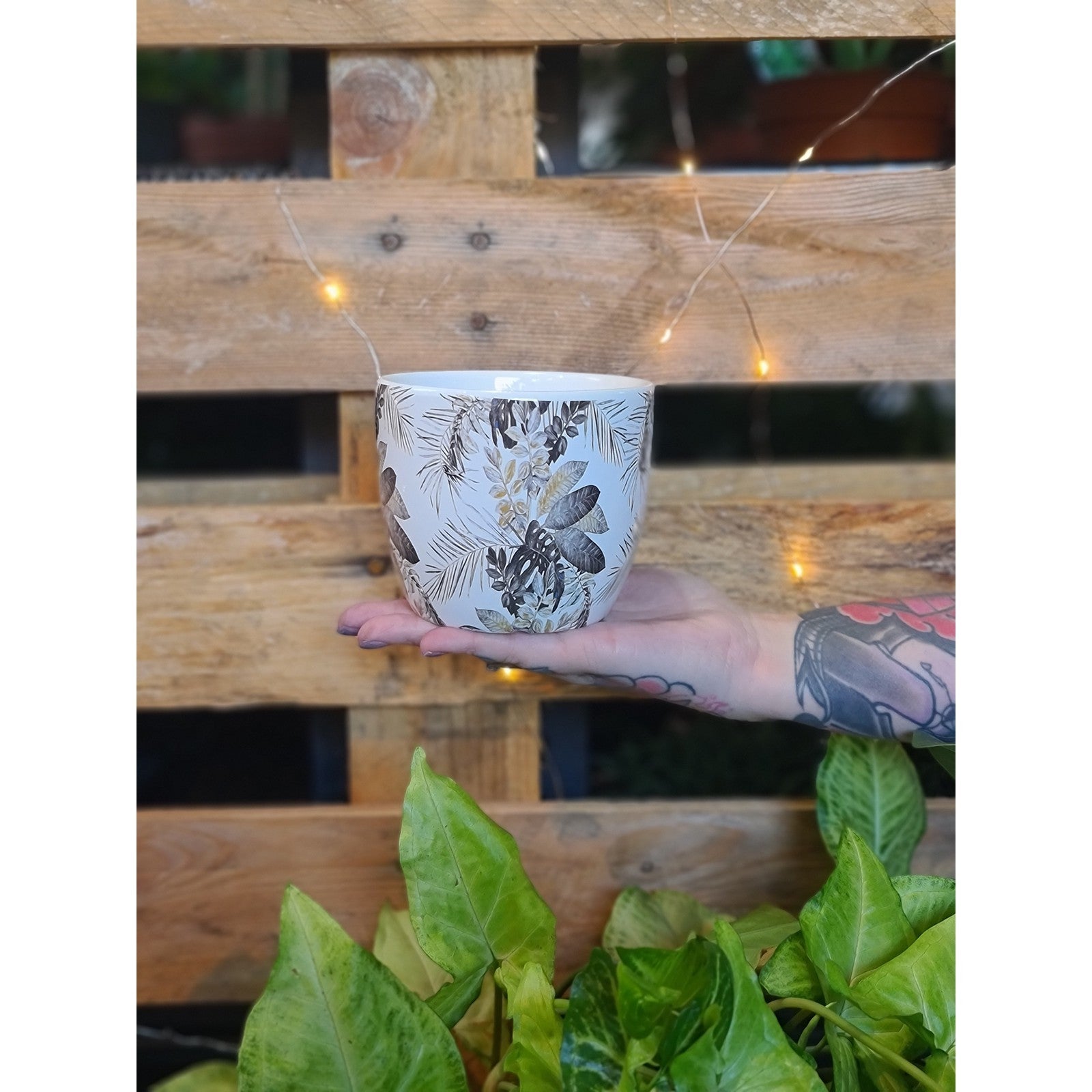 Tropicana Planter