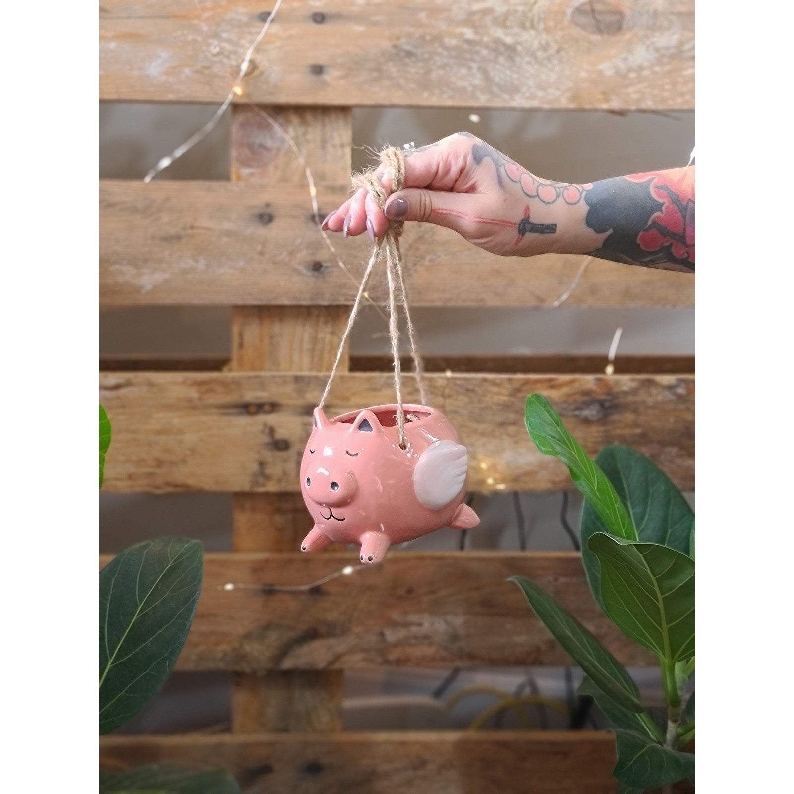 When Pigs Fly