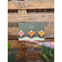 Wild Essential Plant Care Kit