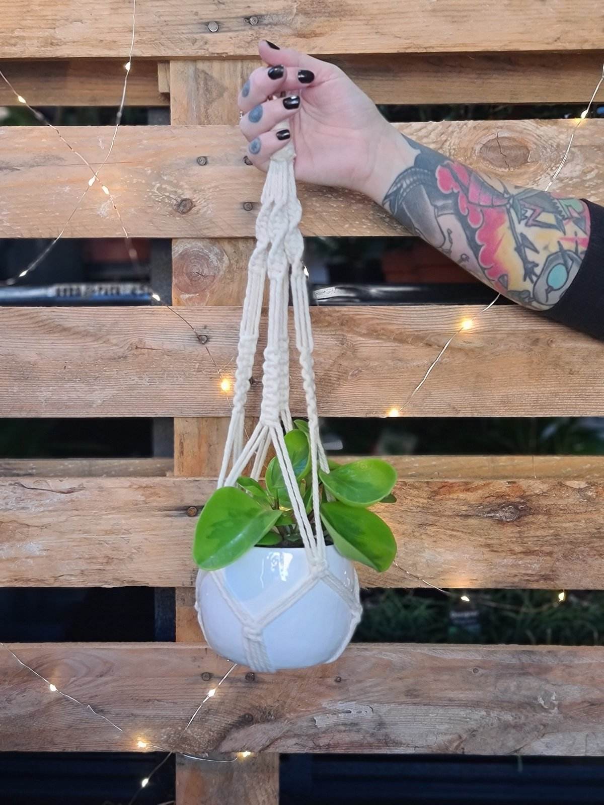 DIY Macrame Hanger