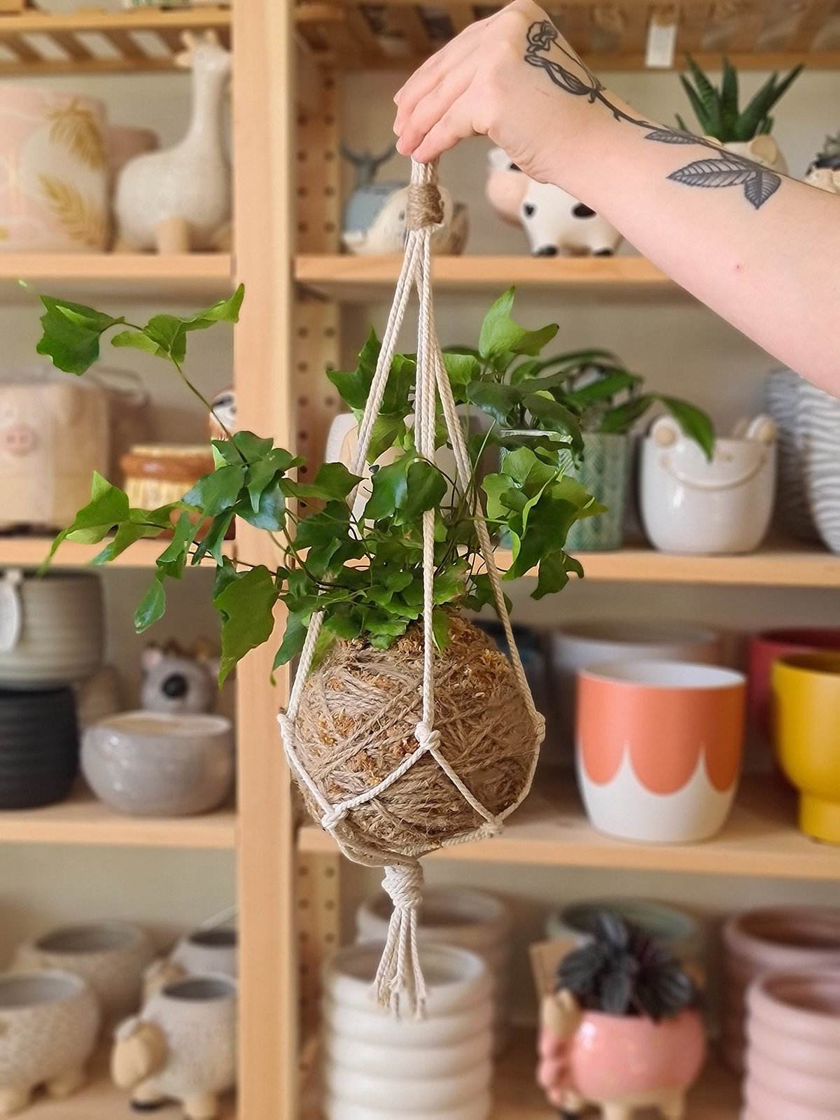 Kokedama DIY Instructions