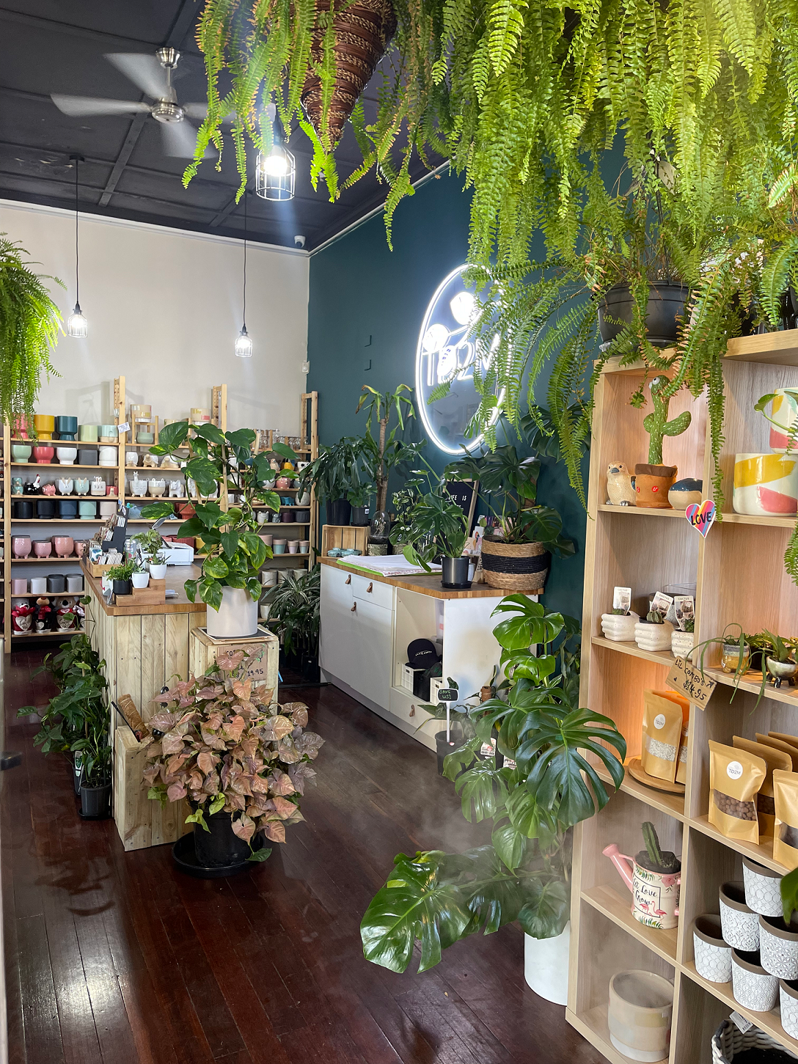 A photo of Talk Dirt 2 Me shop in Coburg. The shop is lush and green with many indoor plants and pots on display. There is a big neon sign with our logo TD2M.