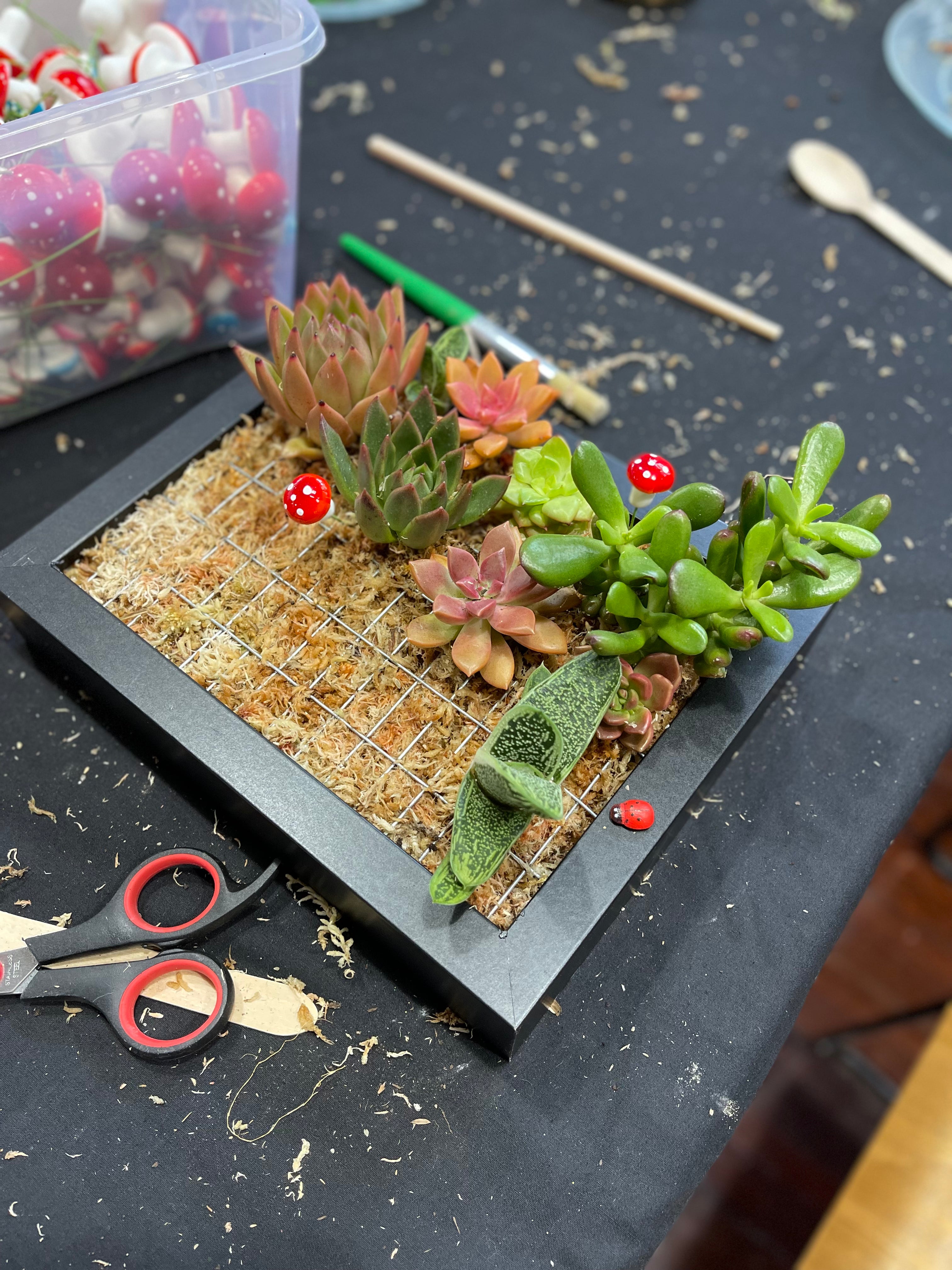 DIY Vertical Succulent Garden Kit