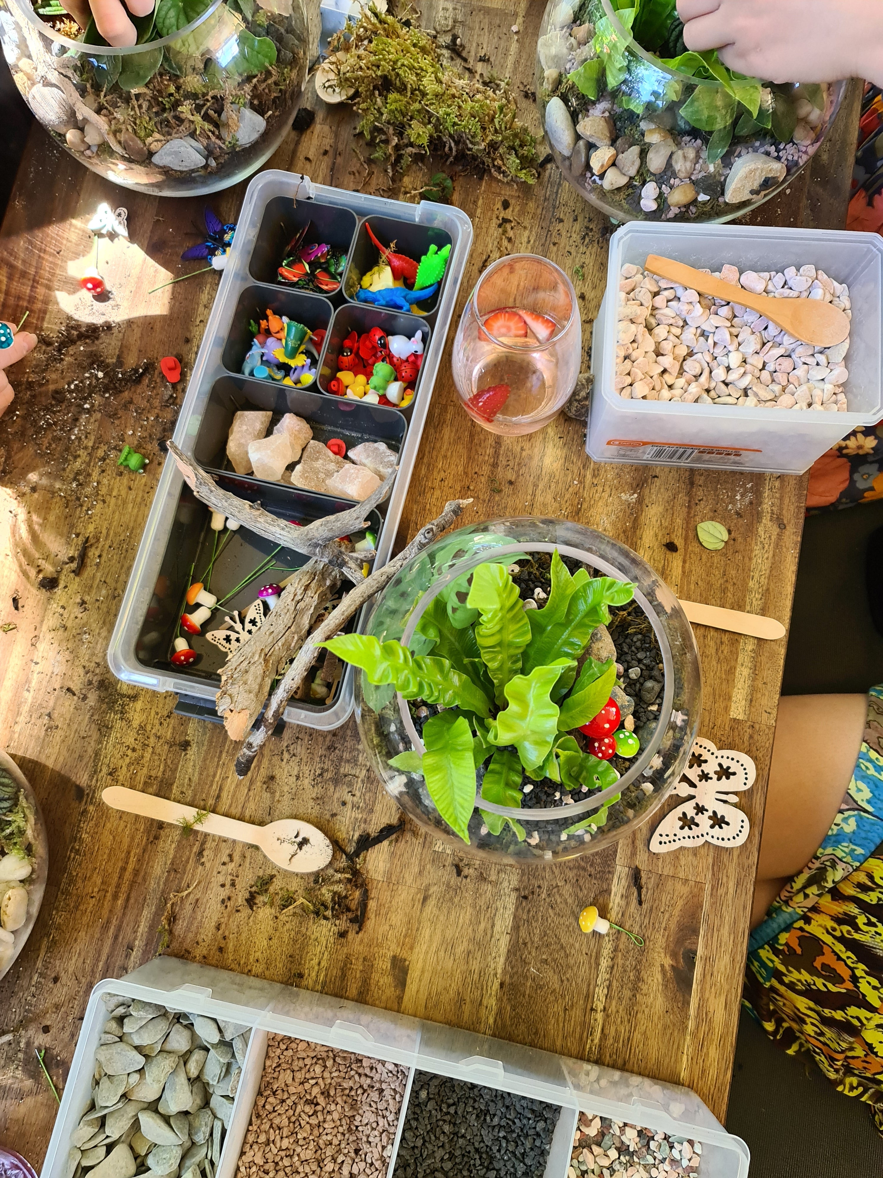 Terrarium Workshop for Beginners