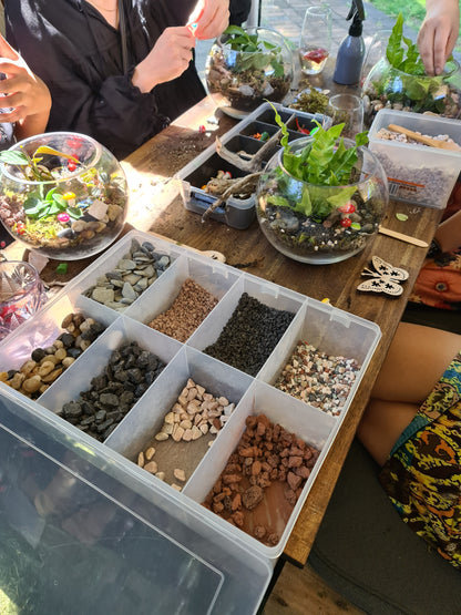 Terrarium Workshop for Beginners