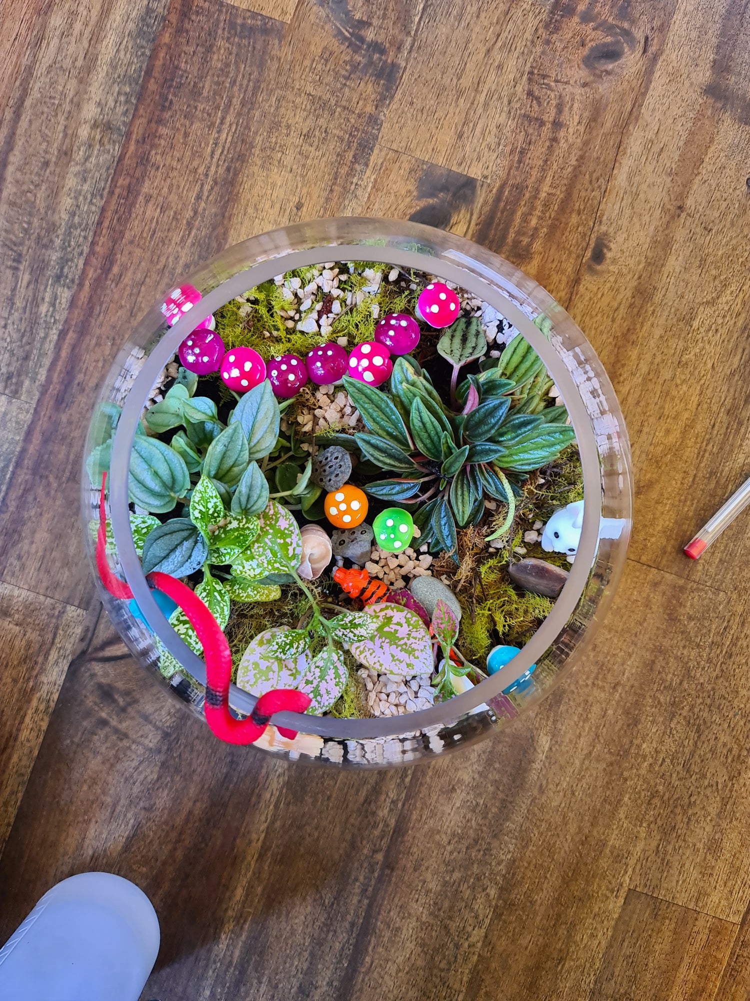Terrarium Workshop for Beginners