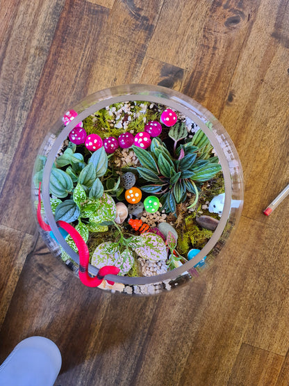Terrarium Workshop for Beginners