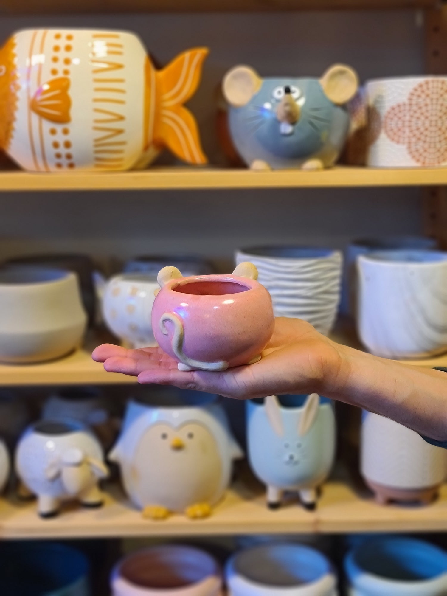 Mixy Mouse Planter