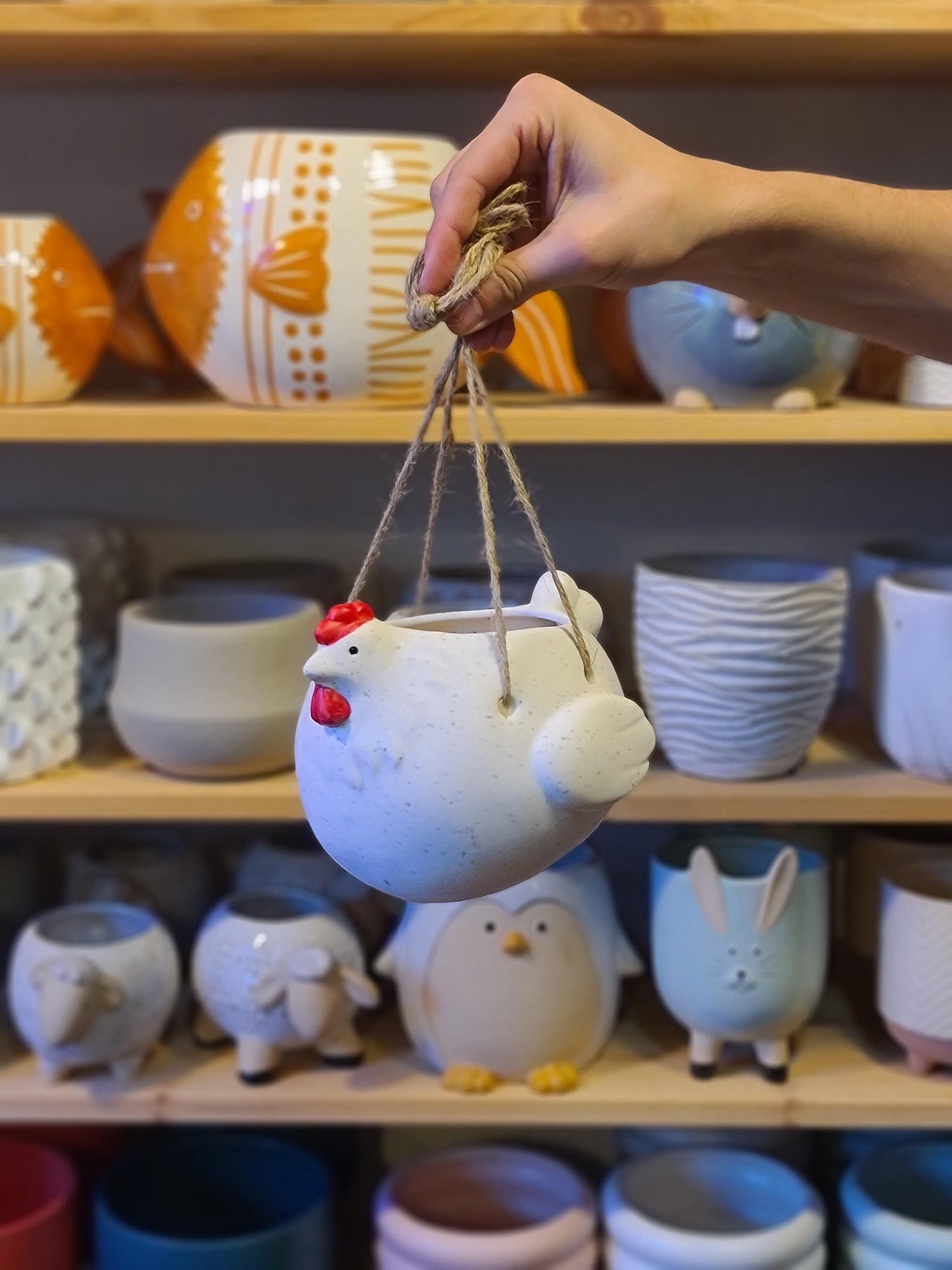 Hanging Henrietta Hen