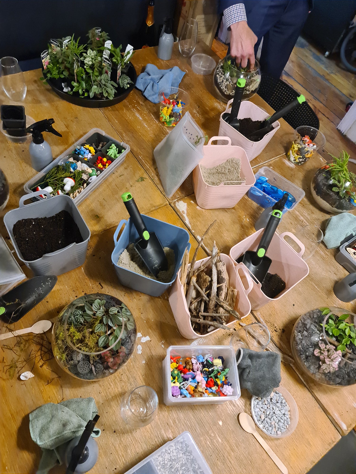 Terrarium Workshop for Beginners